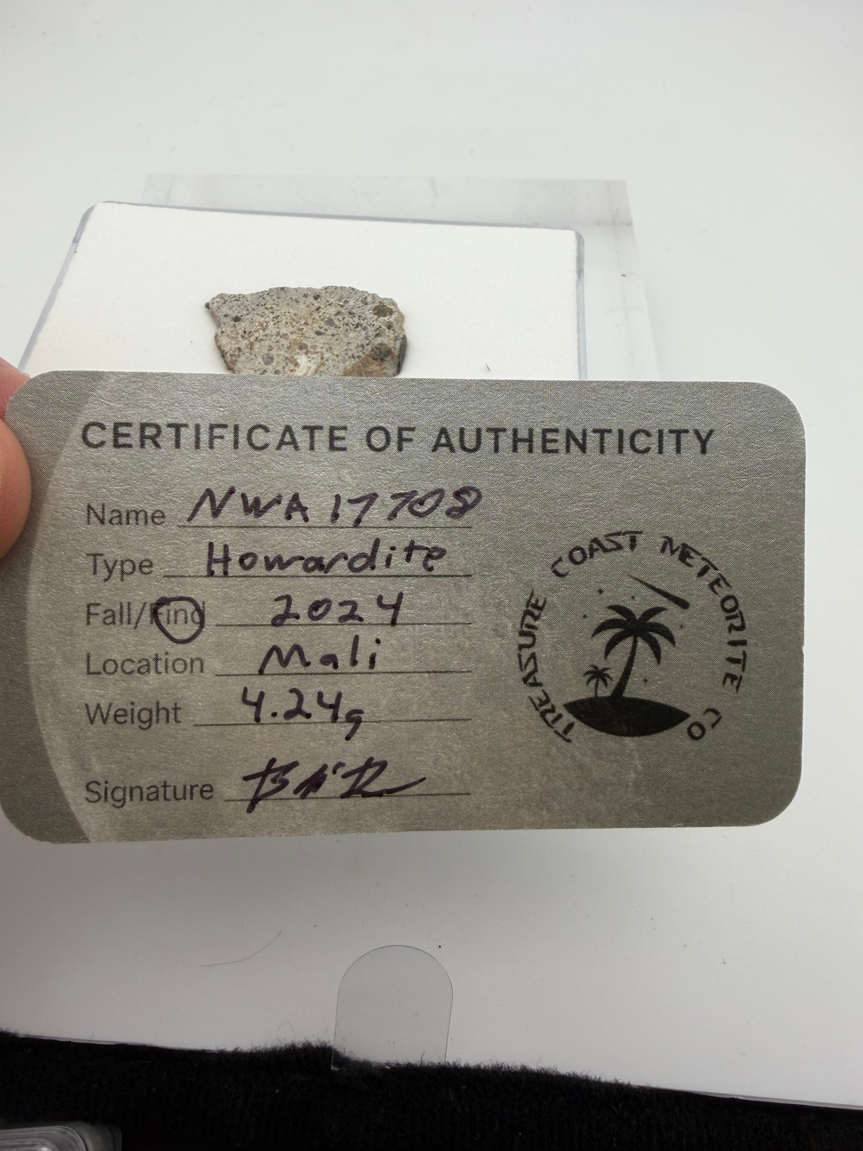 NWA 17708 howardite meteorite 4.24g -- fresh black fusion crust covering approximately 50% of edge surface
