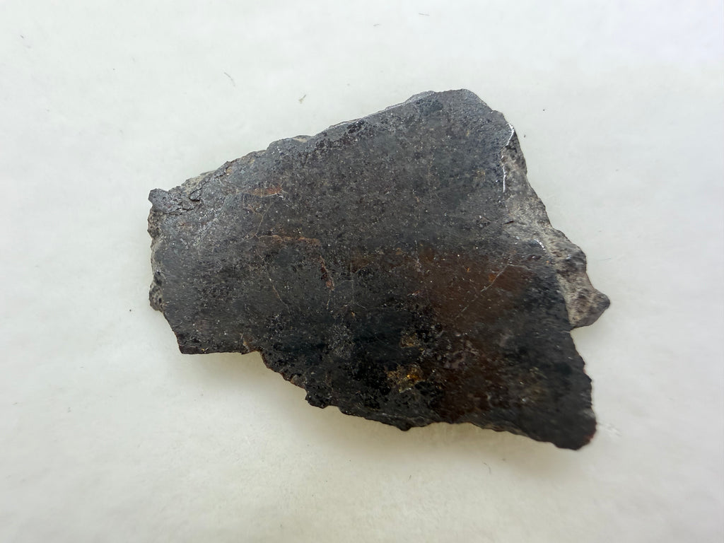 cut meteorite slice close up image of rafsa 005