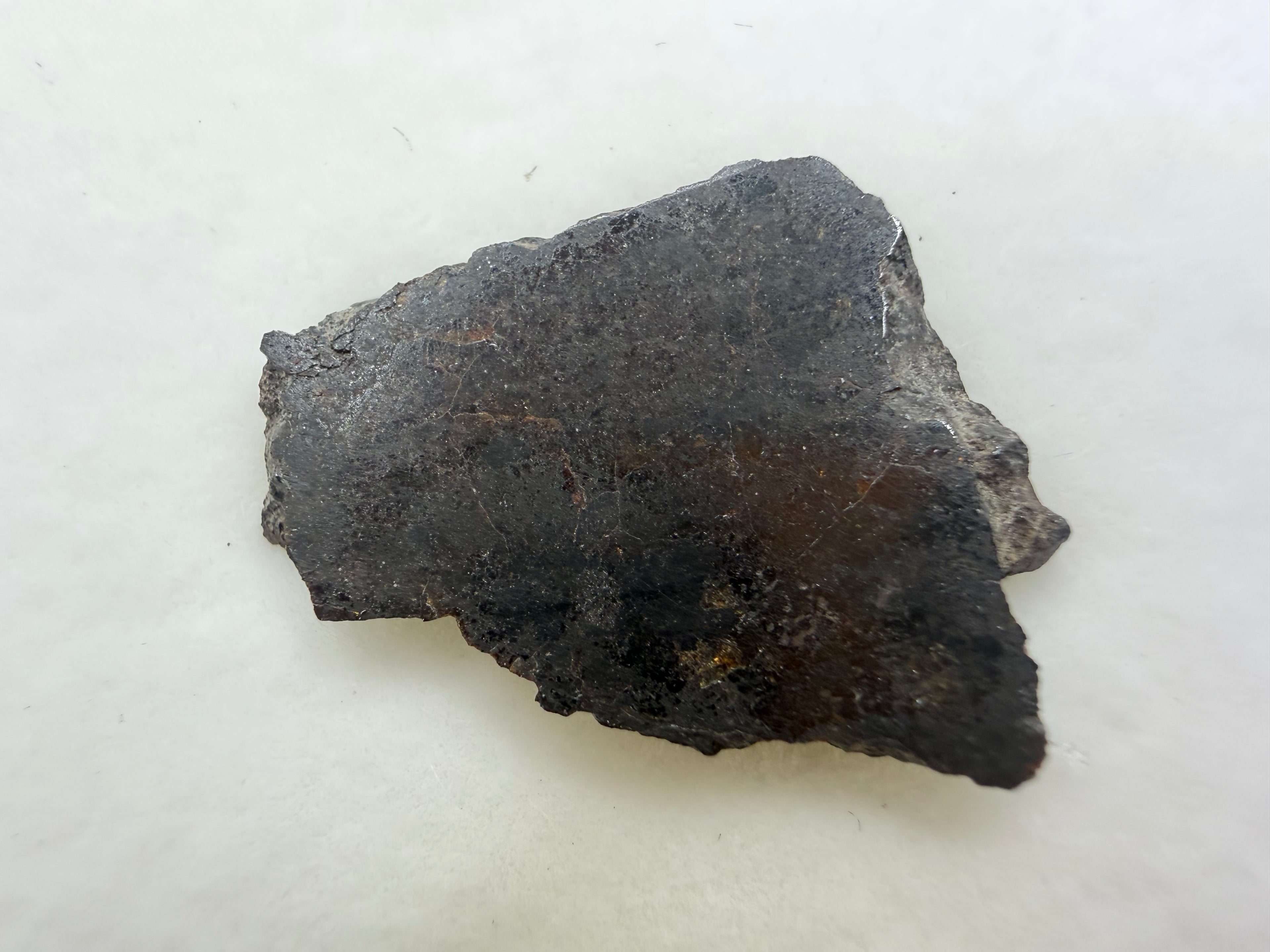 cut meteorite slice close up image of rafsa 005