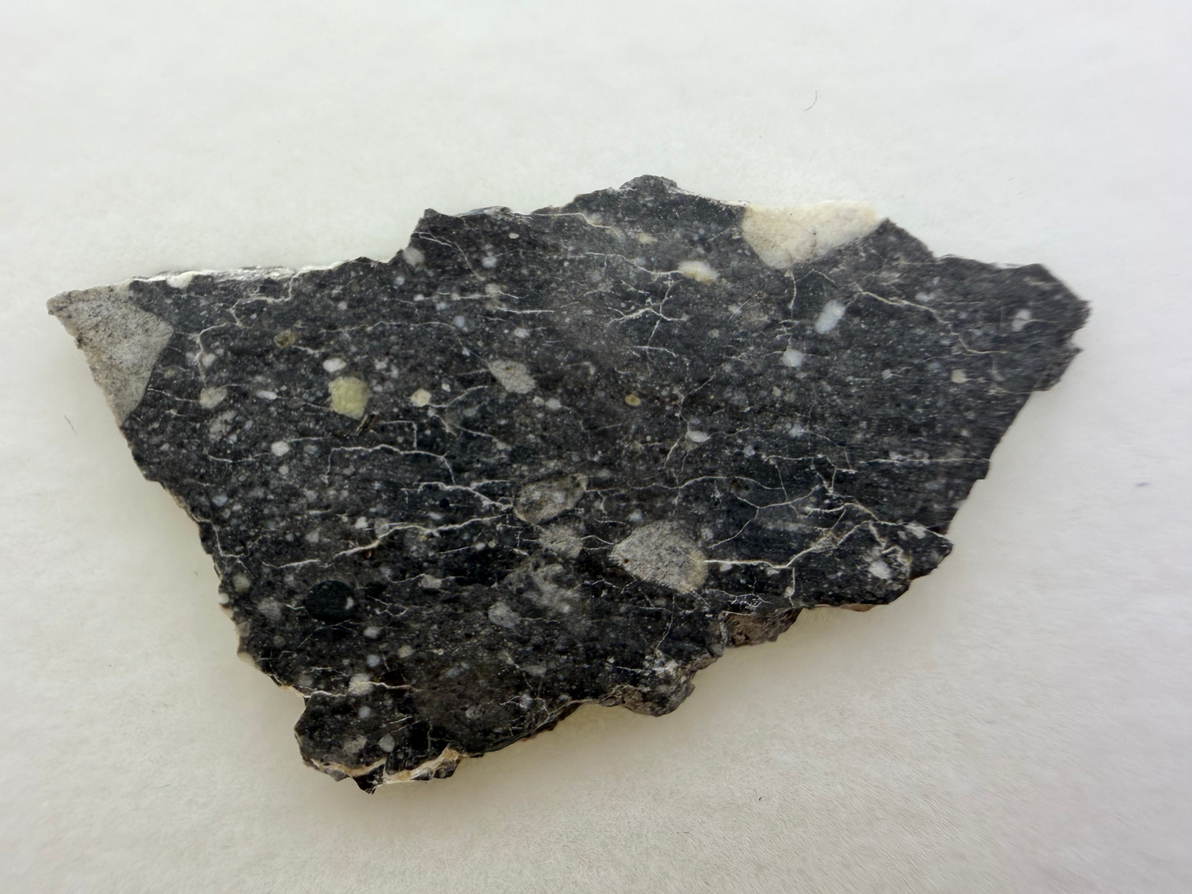 Rabt Sbayta 007  Lunar Meteorite - Feldspathic Breccia Moon Rock Full Slice 2.60g w/COA & Display Box