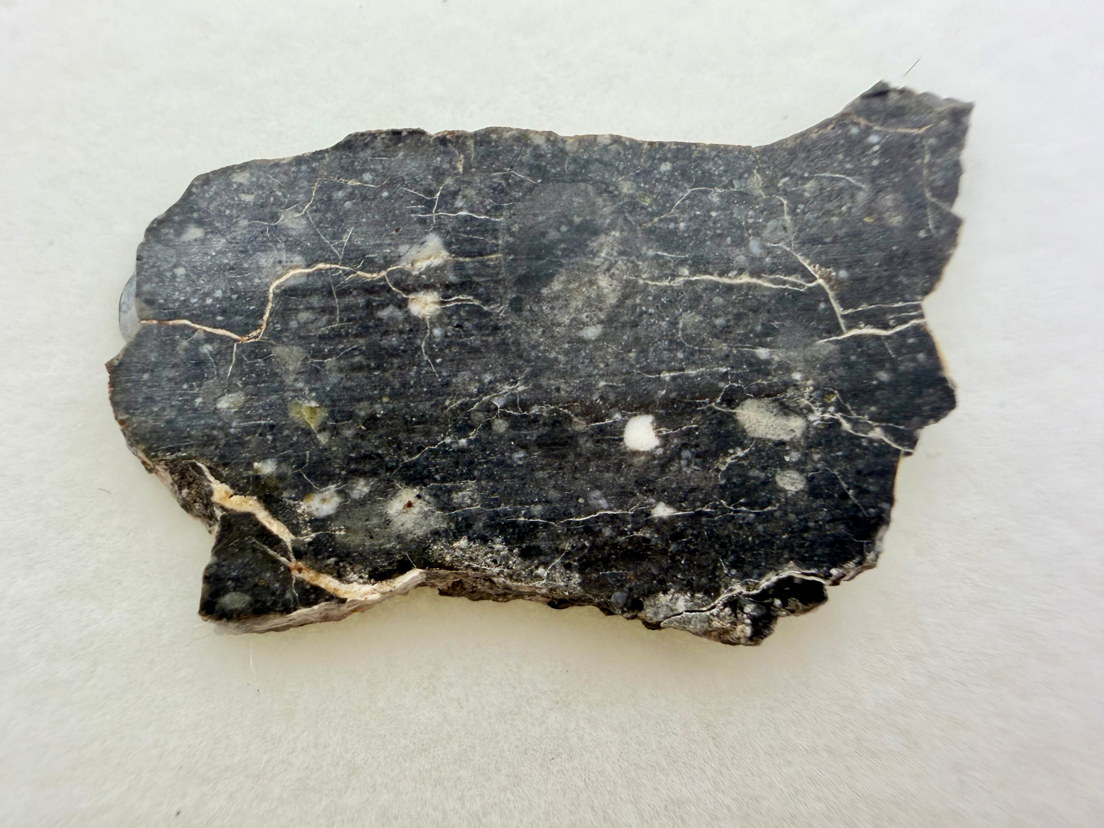 Rabt Sbayta 007  Lunar Meteorite - Feldspathic Breccia Moon Rock Full Slice 2.36g w/COA & Display Box