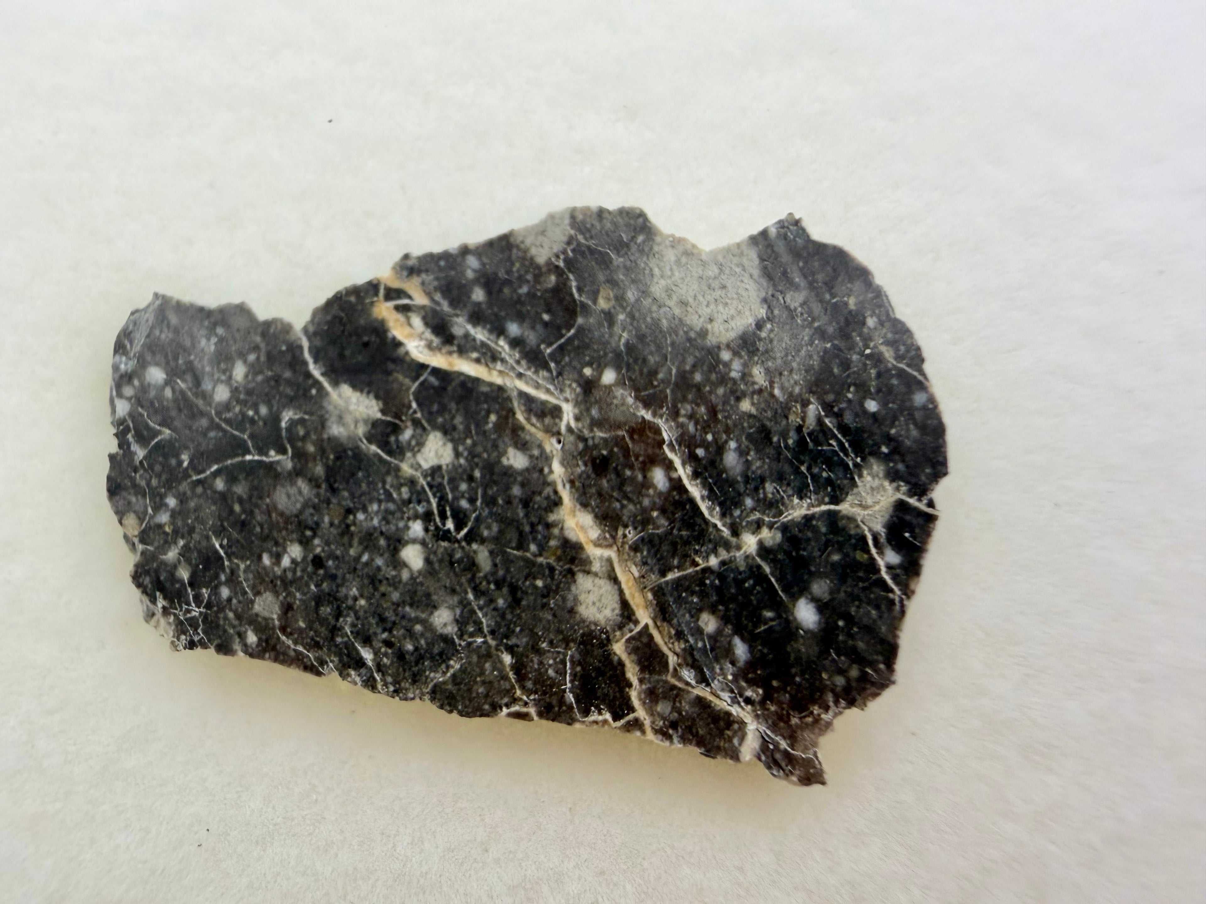 Rabt Sbayta Lunar meteorite slice close up