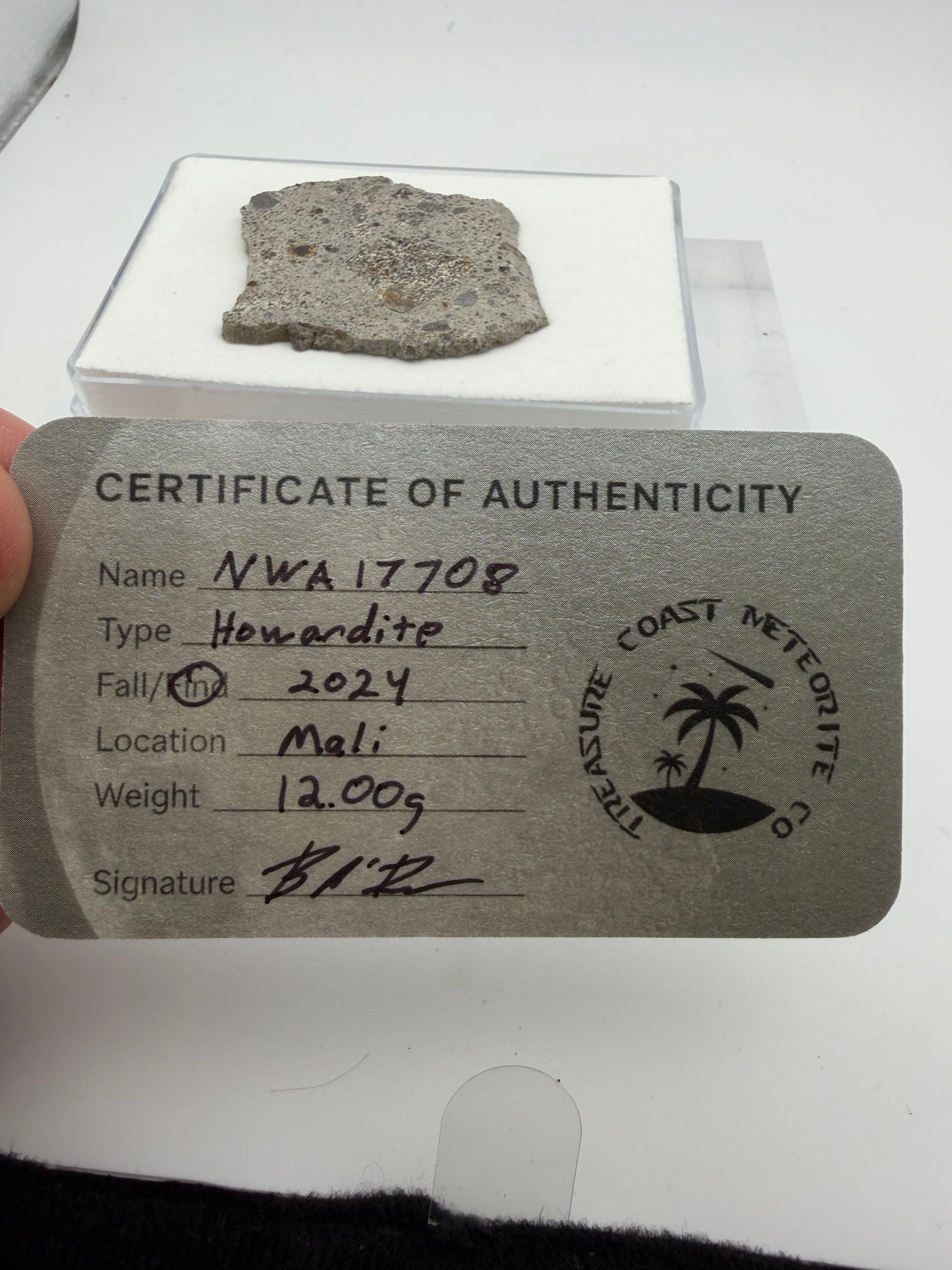 NWA 17708 howardite 12.00g -- black fusion crust coverage along edge surface with fine-grained brecciated interior