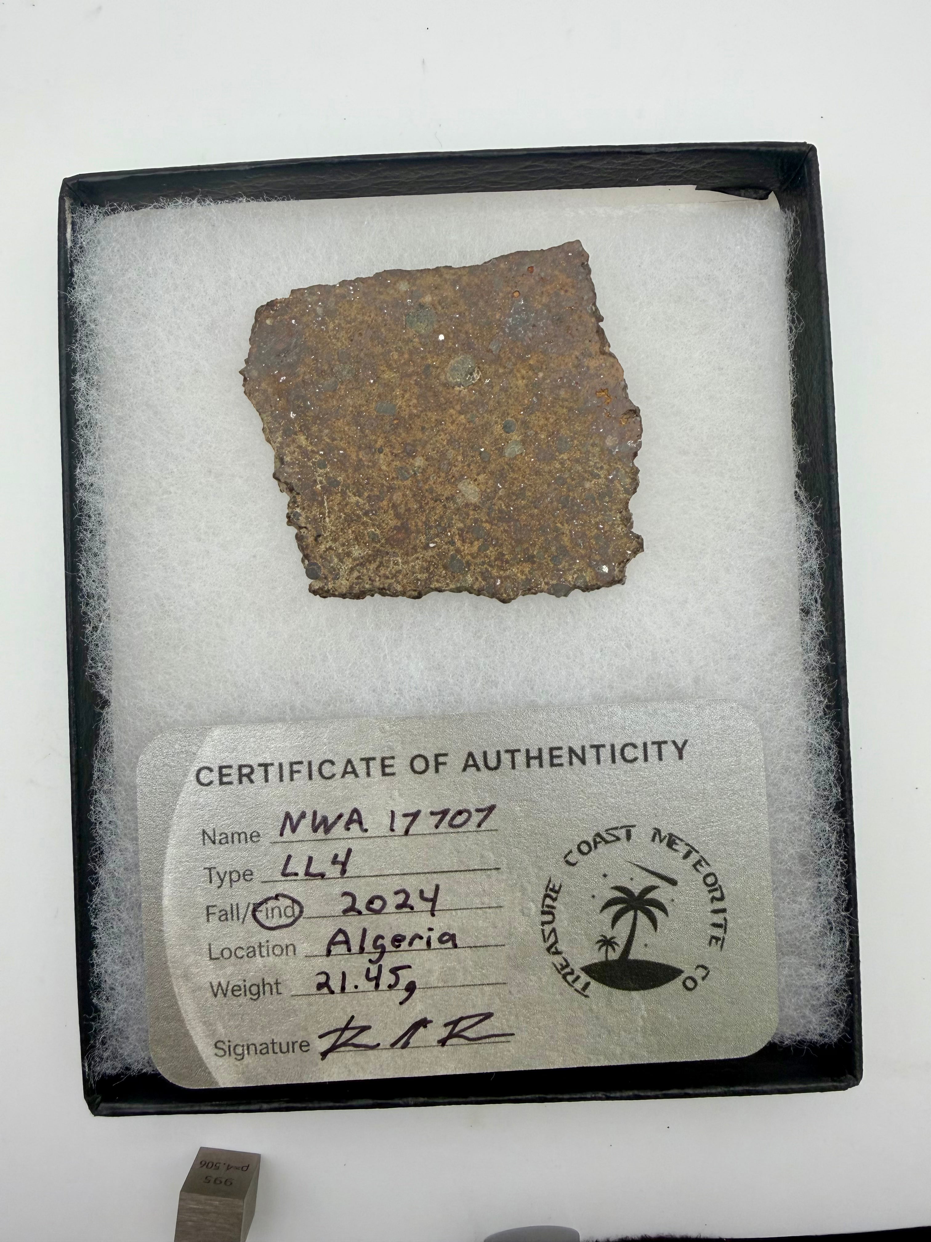 NWA 17707 LL4 ordinary chondrite meteorite slice 21.45g -- low-iron primitive chondrite from Algeria, Treasure Coast Meteorit