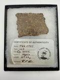 NWA 17707 LL4 ordinary chondrite meteorite slice 27.29g, complete cross section -- low iron primitive solar system material, 