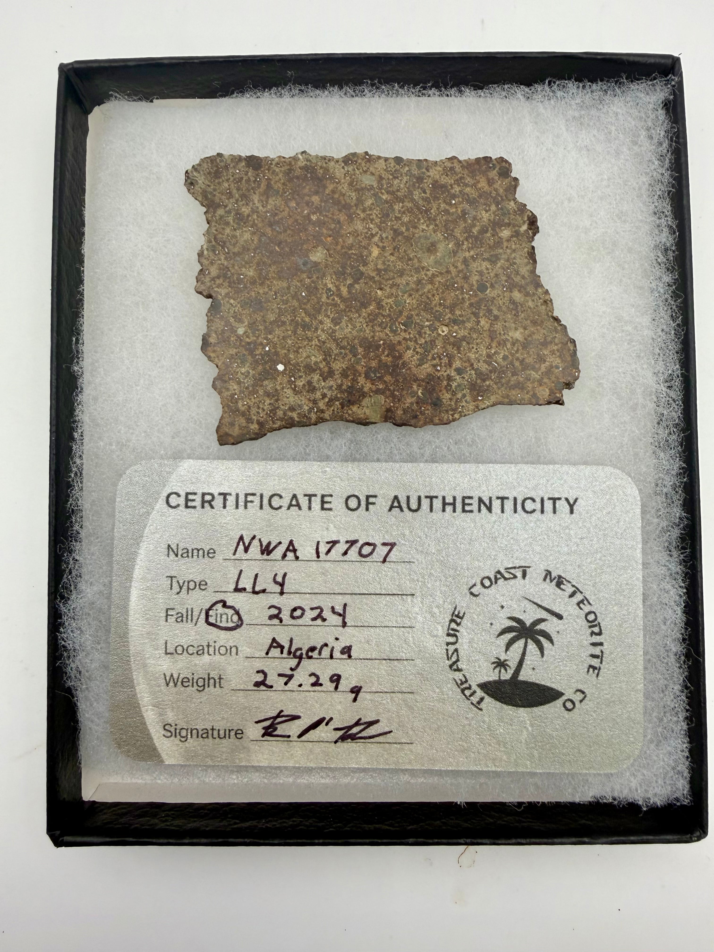 NWA 17707 LL4 ordinary chondrite meteorite slice 27.29g, complete cross section -- low iron primitive solar system material, 