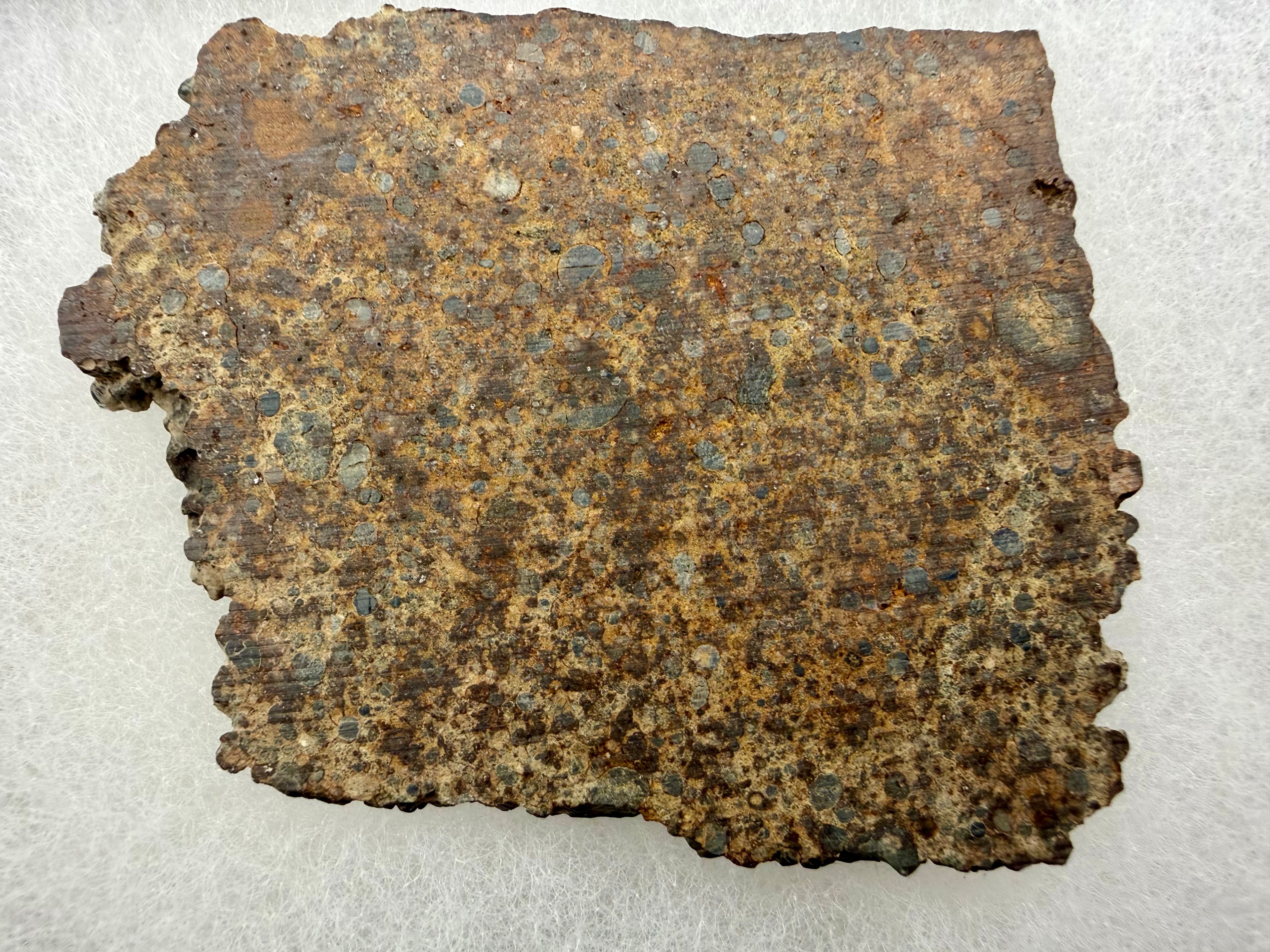 NWA 17707 ordinary chondrite 27.61g -- full slice showing chondrule size distribution and metamorphic texture