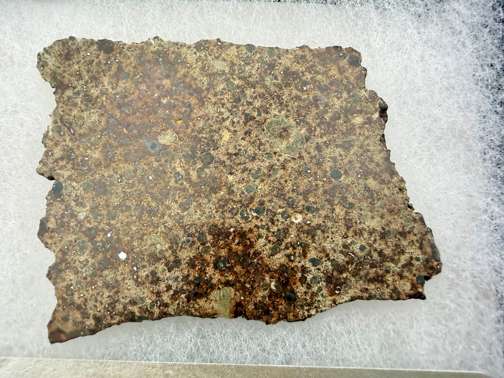 NWA 17707 ordinary chondrite 27.29g -- chondrule distribution across polished full slice surface showing circular structures 
