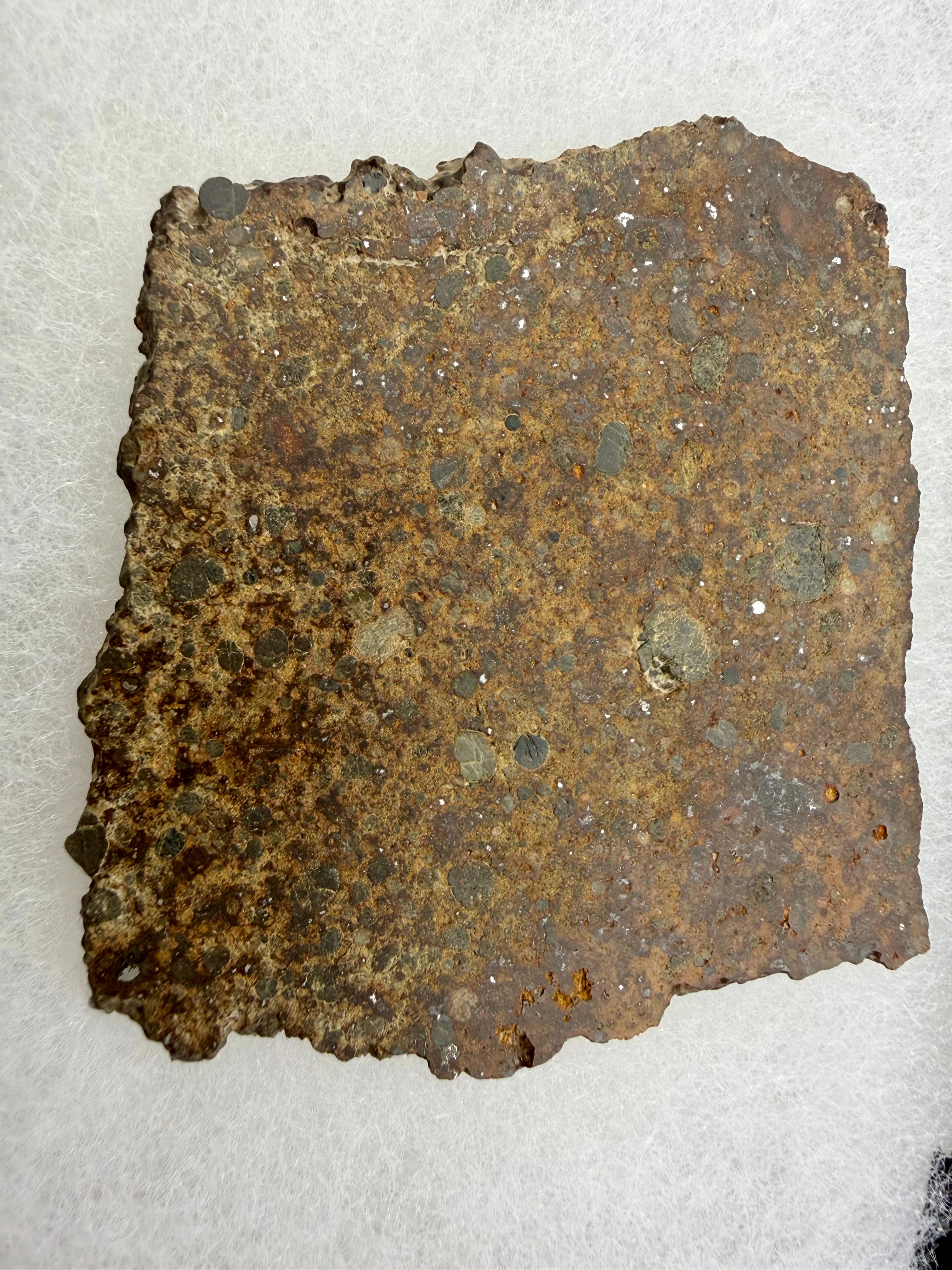 NWA 17707 LL4 meteorite 21.45g -- chondrule boundaries and metal grains distributed throughout groundmass