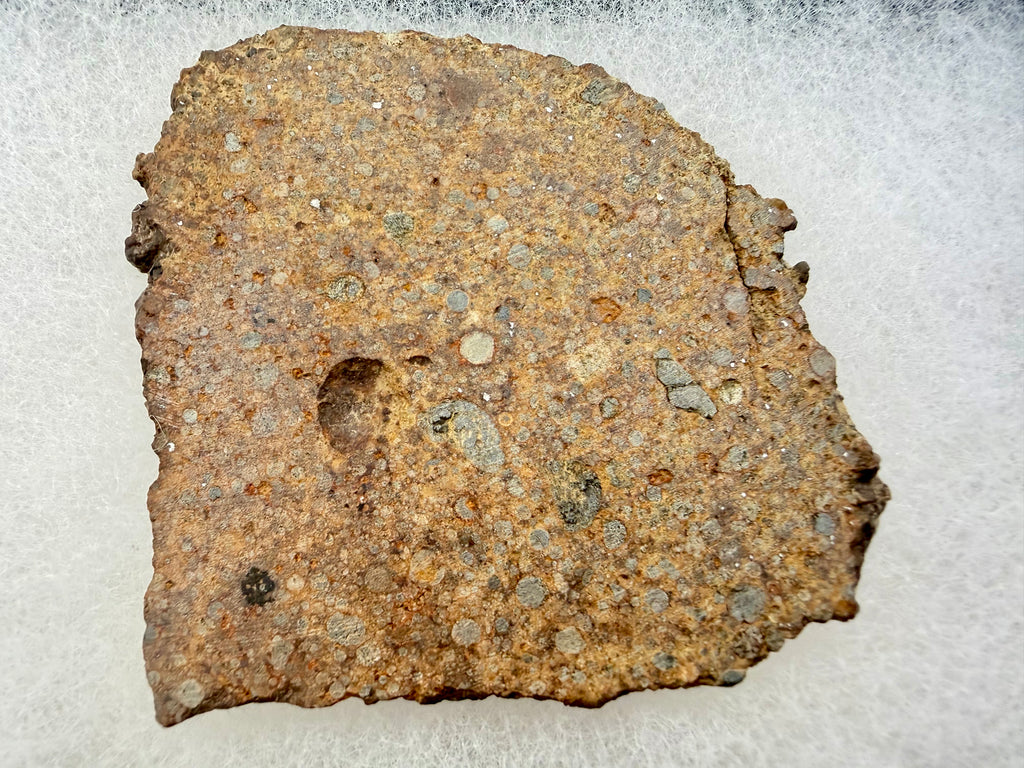 NWA 17707 chondrite 30.37g -- chondrule distribution across slice surface showing spherical structures in fine-grained matrix
