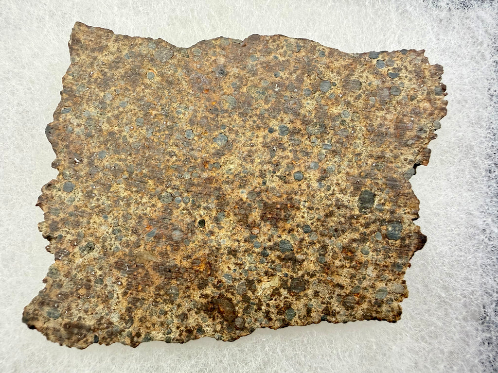 NWA 17707 LL4 chondrite 27.29g -- close view of individual chondrules and low metal matrix texture under polish