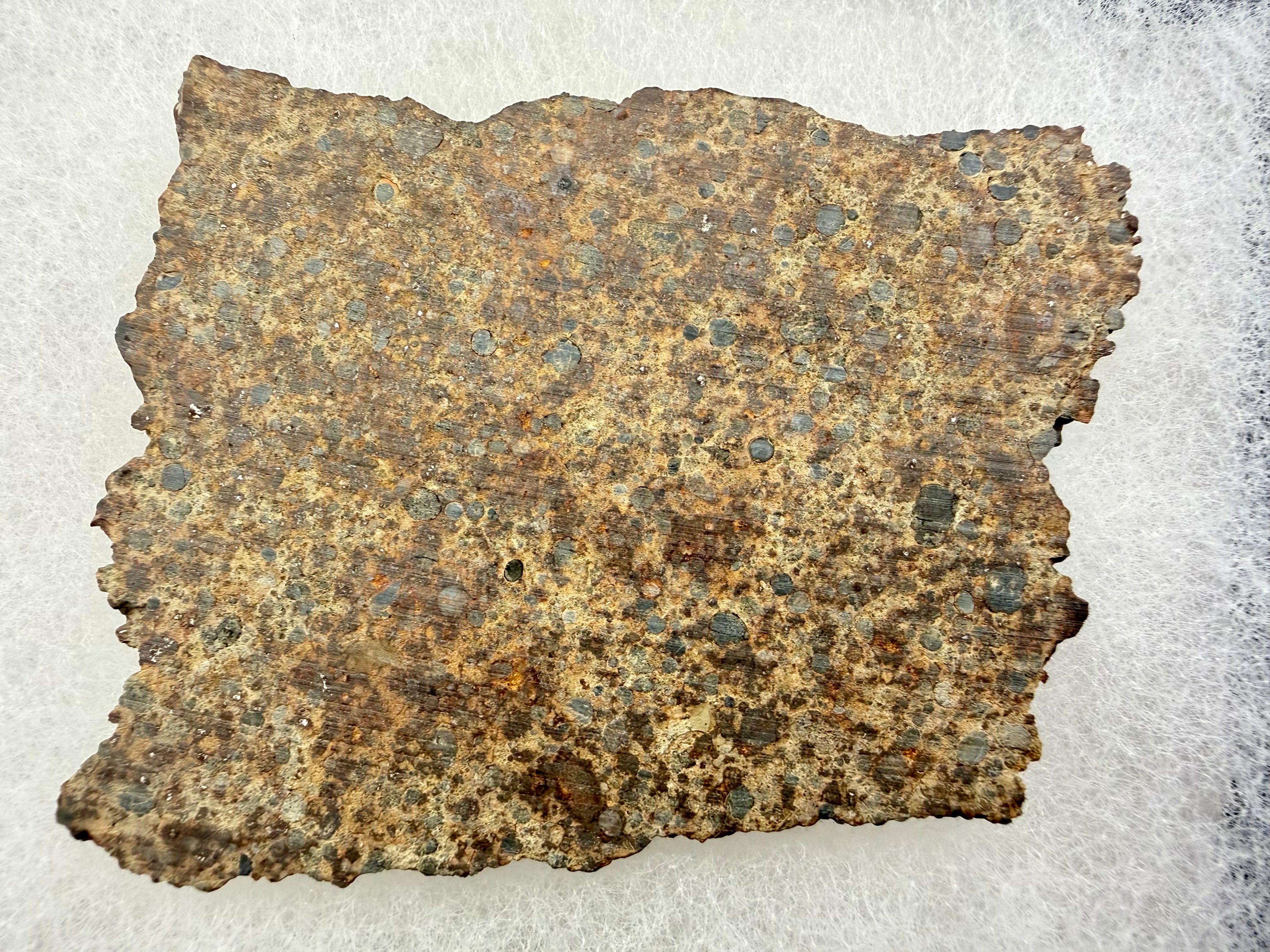 NWA 17707 LL4 chondrite 27.29g -- close view of individual chondrules and low metal matrix texture under polish