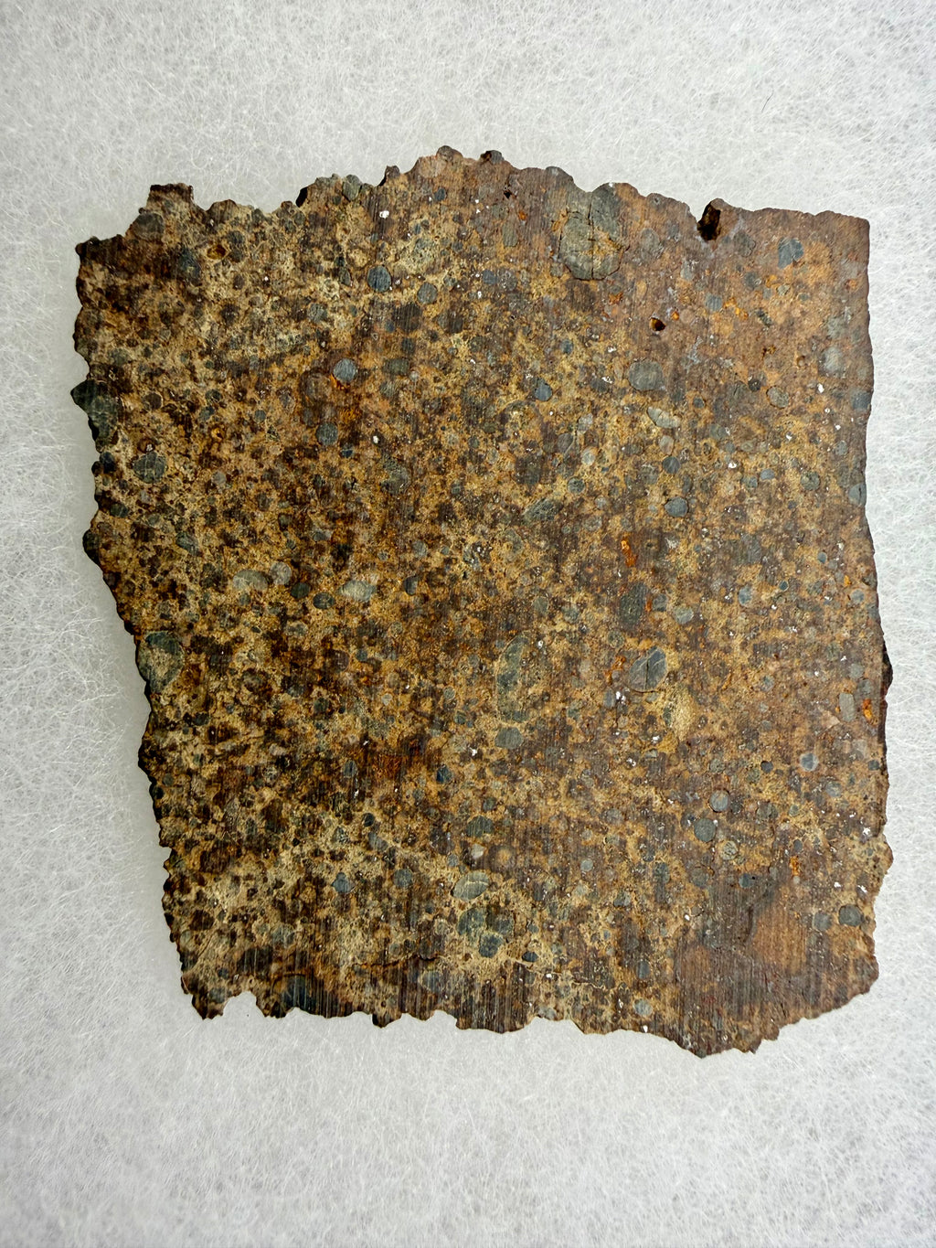 NWA 17707 chondrite 21.45g -- circular chondrules preserved in fine-grained silicate matrix showing type 4 metamorphism