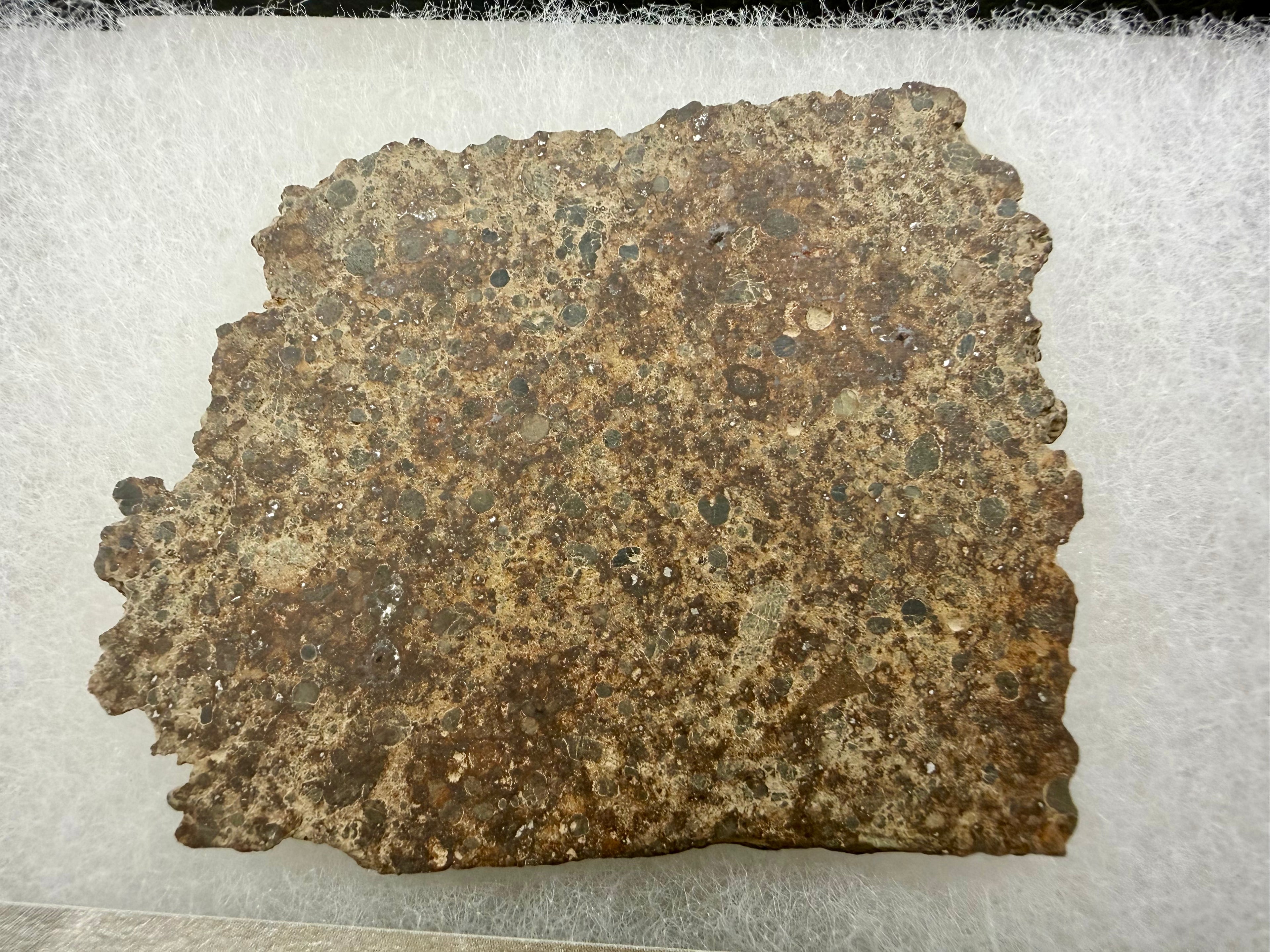 NWA 17707 LL4 chondrite 27.61g -- rounded chondrules preserved in fine-grained matrix material