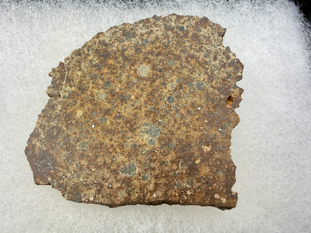 NWA 17707 LL4 meteorite 30.37g -- detail of individual chondrules and matrix texture under natural lighting