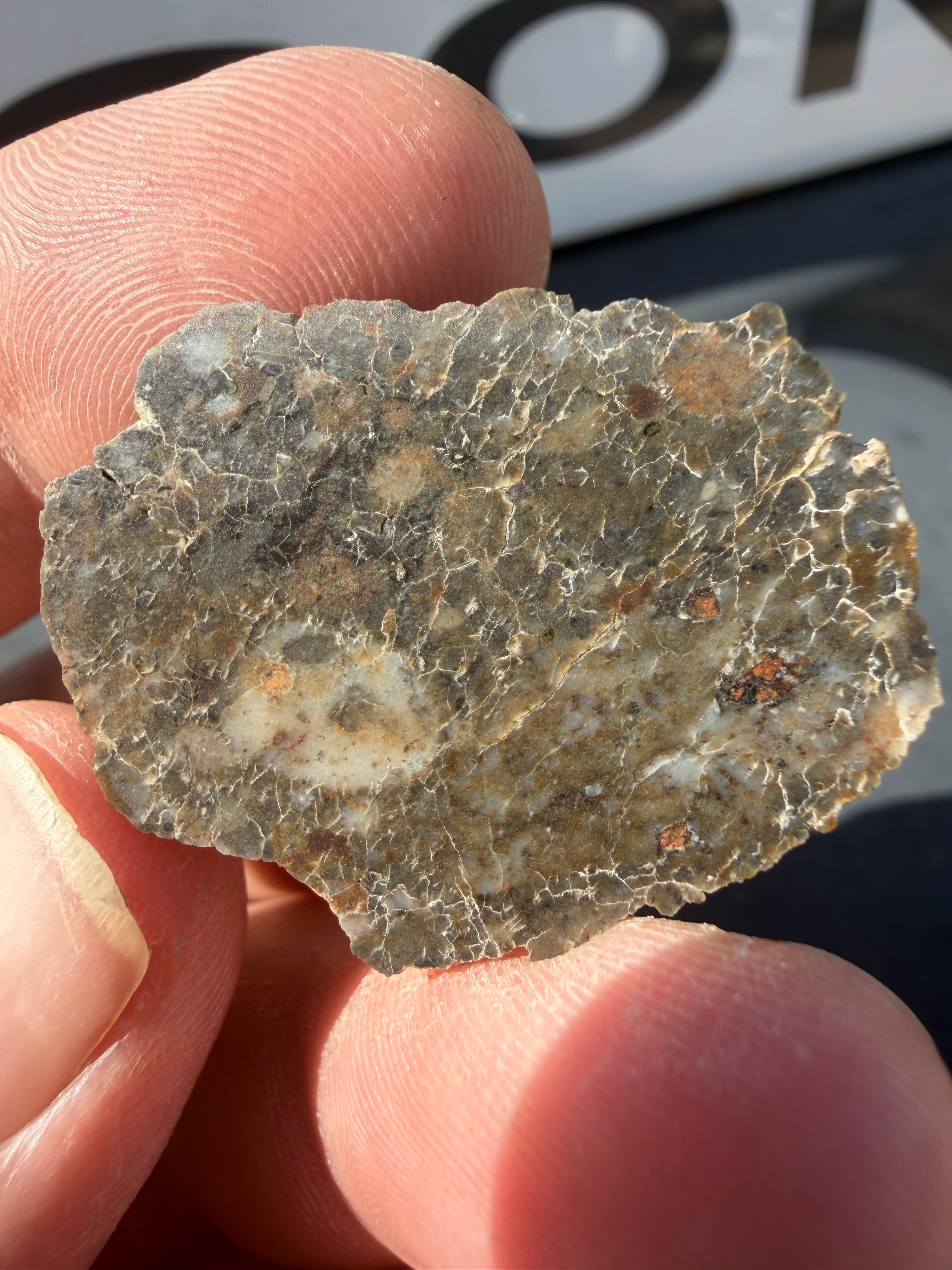 Laayoune 002 Lunar Feldspathic Breccia End Cut Slice 11.50g