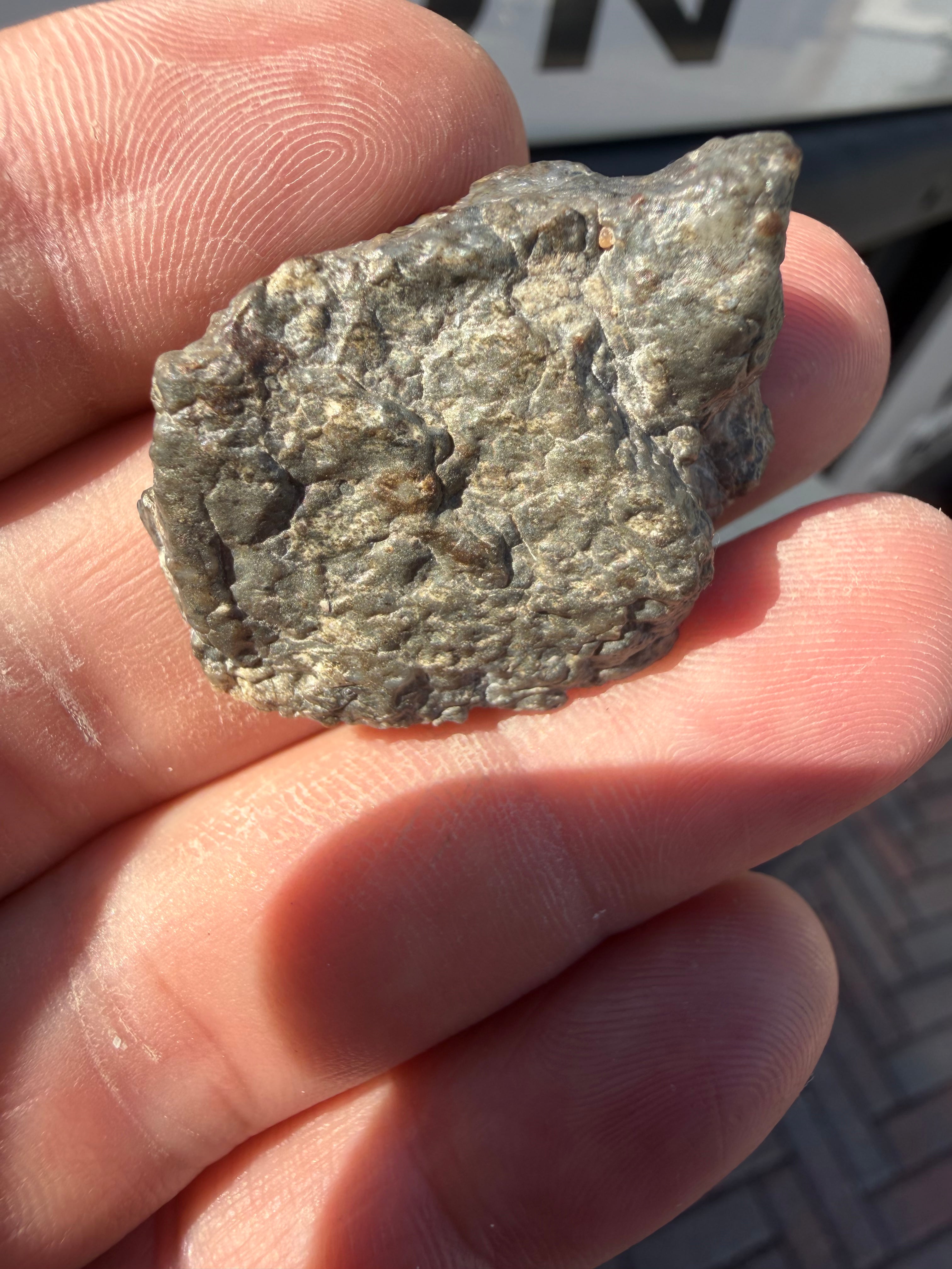 Laayoune 002 Lunar Feldspathic Breccia End Cut Slice 11.50g
