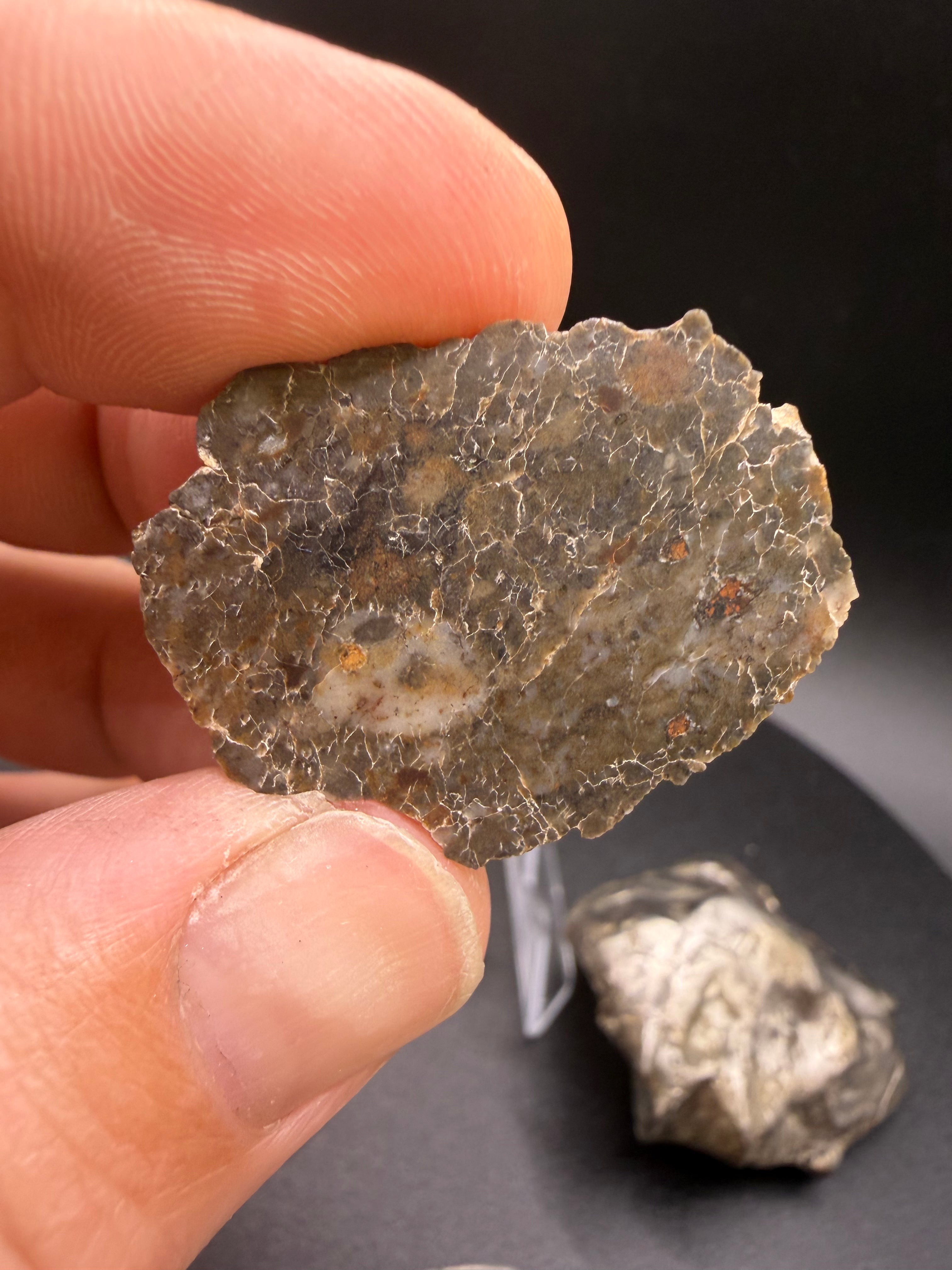 Laayoune 002 Lunar Feldspathic Breccia End Cut Slice 11.50g