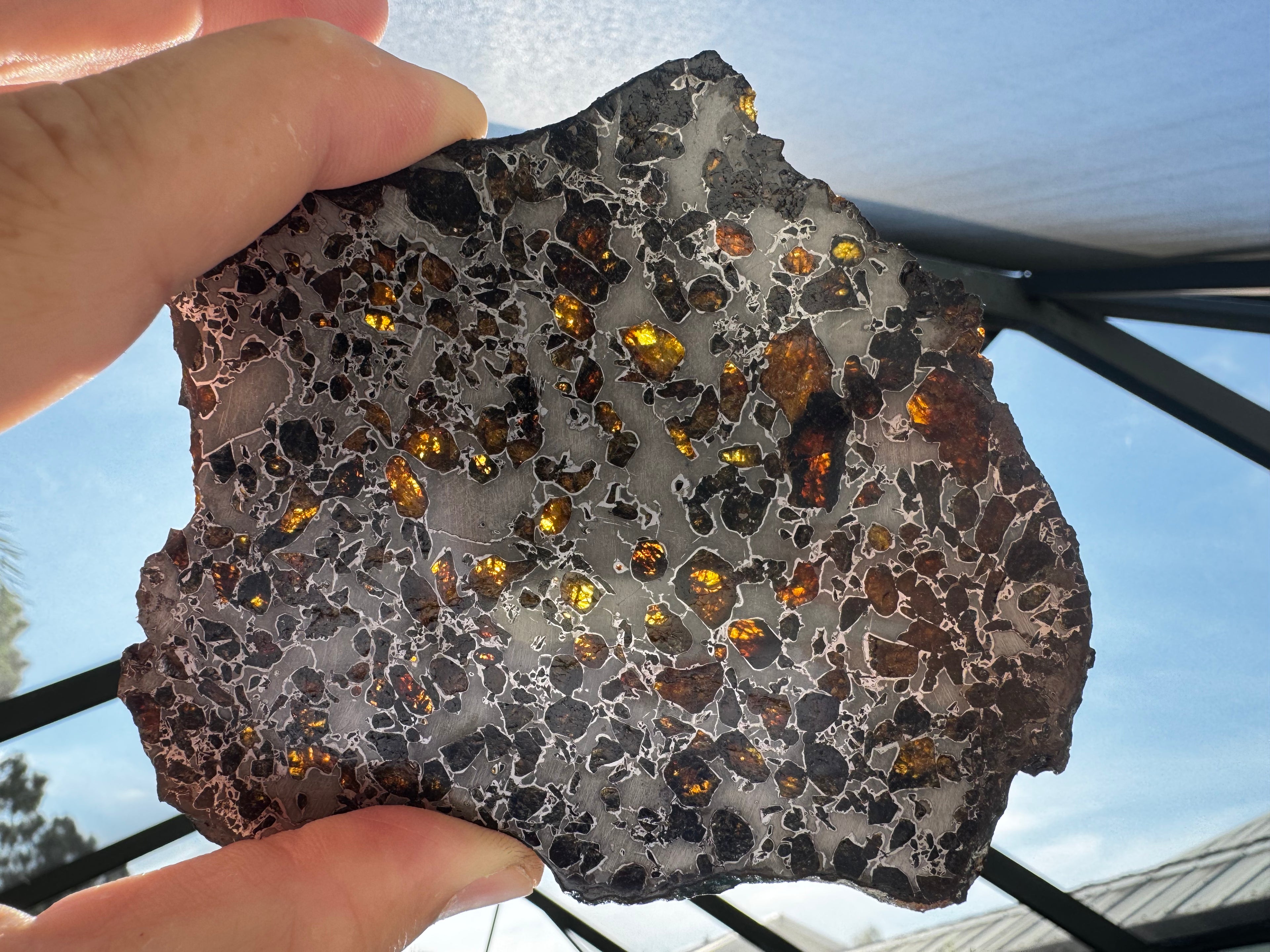 Gyarub Zangbo pallasite ungrouped meteorite slice 94.90g, etched and stabilized -- stony-iron with olivine crystals, Treasure