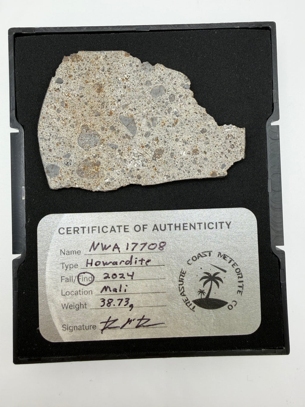 NWA 17708 howardite meteorite slice 38.73g with fusion crust -- HED achondrite from asteroid 4 Vesta, Treasure Coast Meteorit