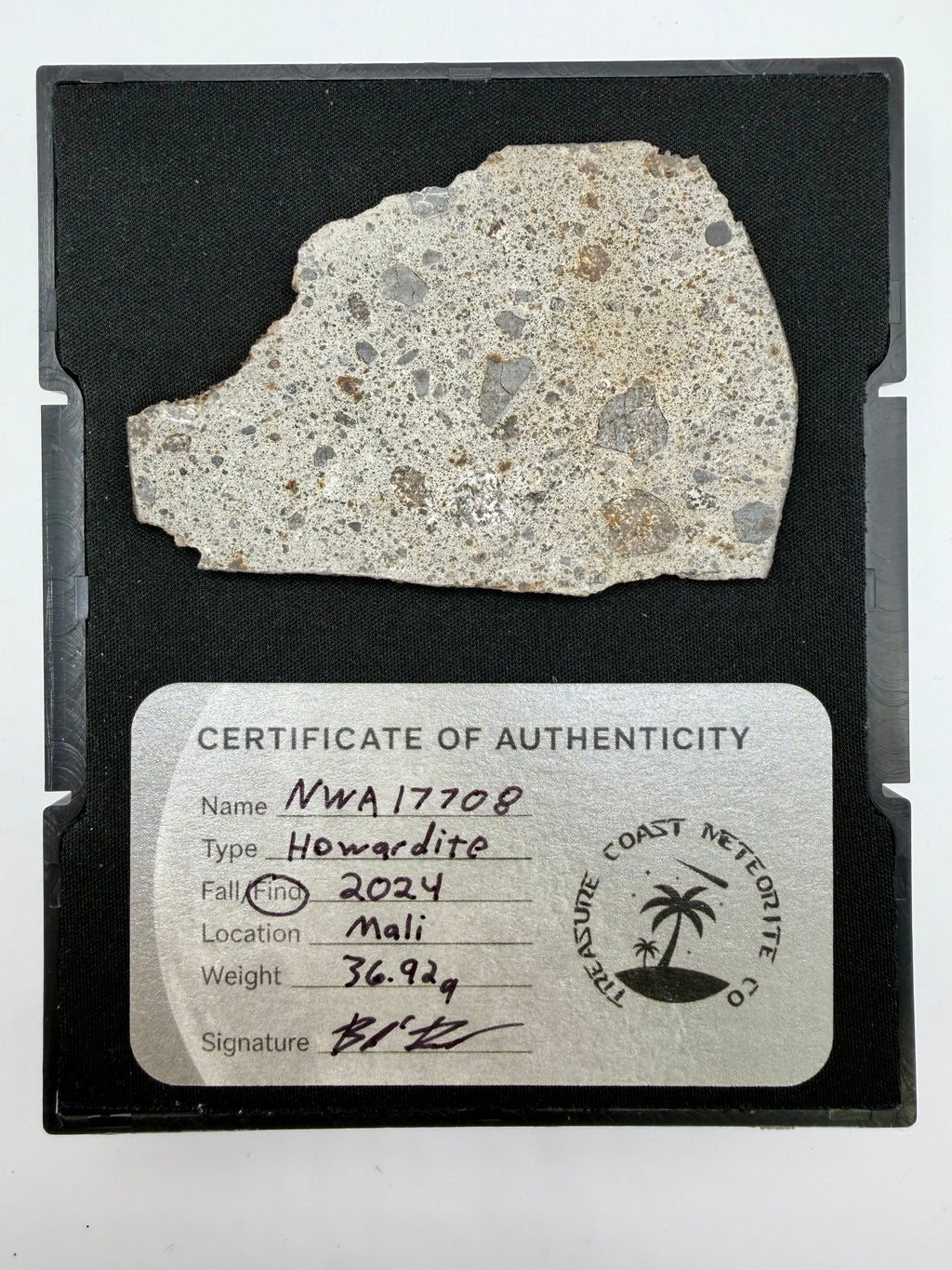 NWA 17708 howardite meteorite individual 36.92g, fresh fusion crust -- HED achondrite from asteroid 4 Vesta, Treasure Coast M