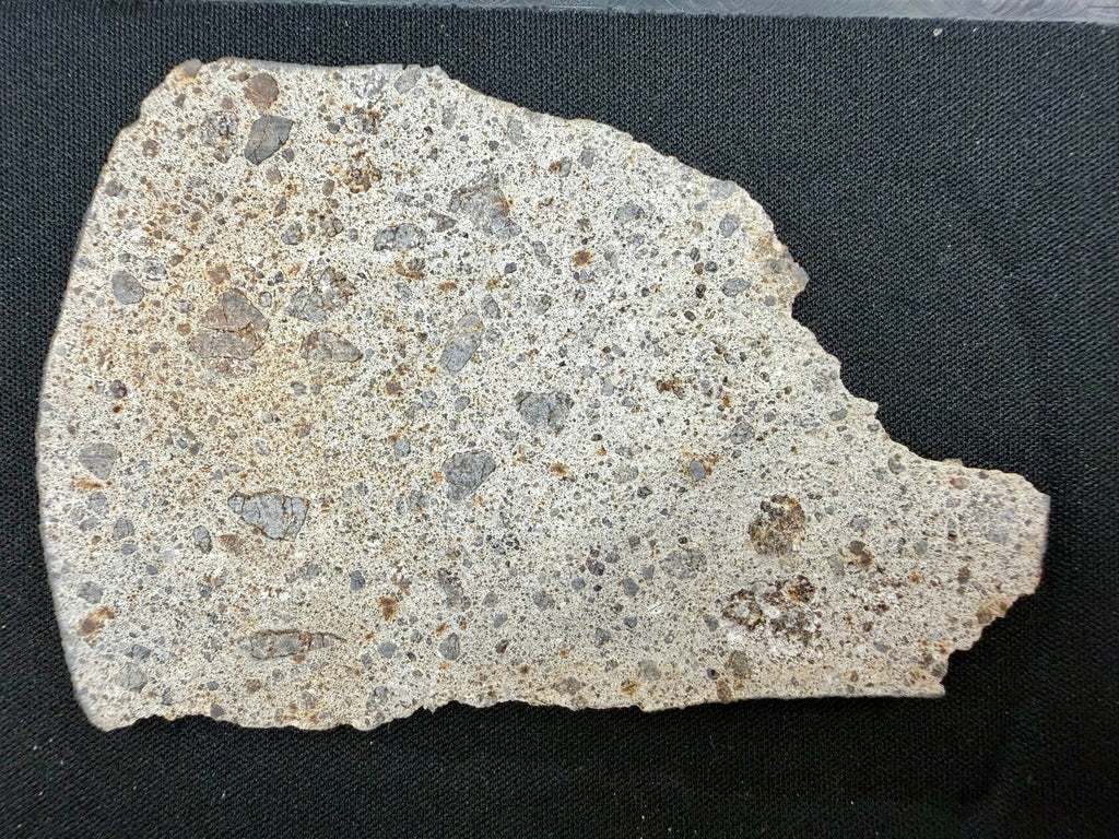 NWA 17708 howardite 35.21g -- sanded face showing brecciated matrix with angular eucritic and diogenitic clasts