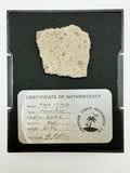 NWA 17708 howardite meteorite part slice 21.31g, sanded face with fusion crust -- HED achondrite from asteroid 4 Vesta, Treas