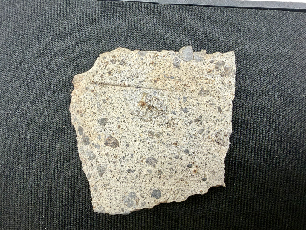 NWA 17708 howardite 21.31g -- sanded face showing polymict breccia texture with eucritic and diogenitic clasts in fine matrix