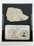 NWA 17708 howardite meteorite slice 26.23g, sanded face with rippled fusion crust -- HED achondrite from asteroid 4 Vesta, Tr