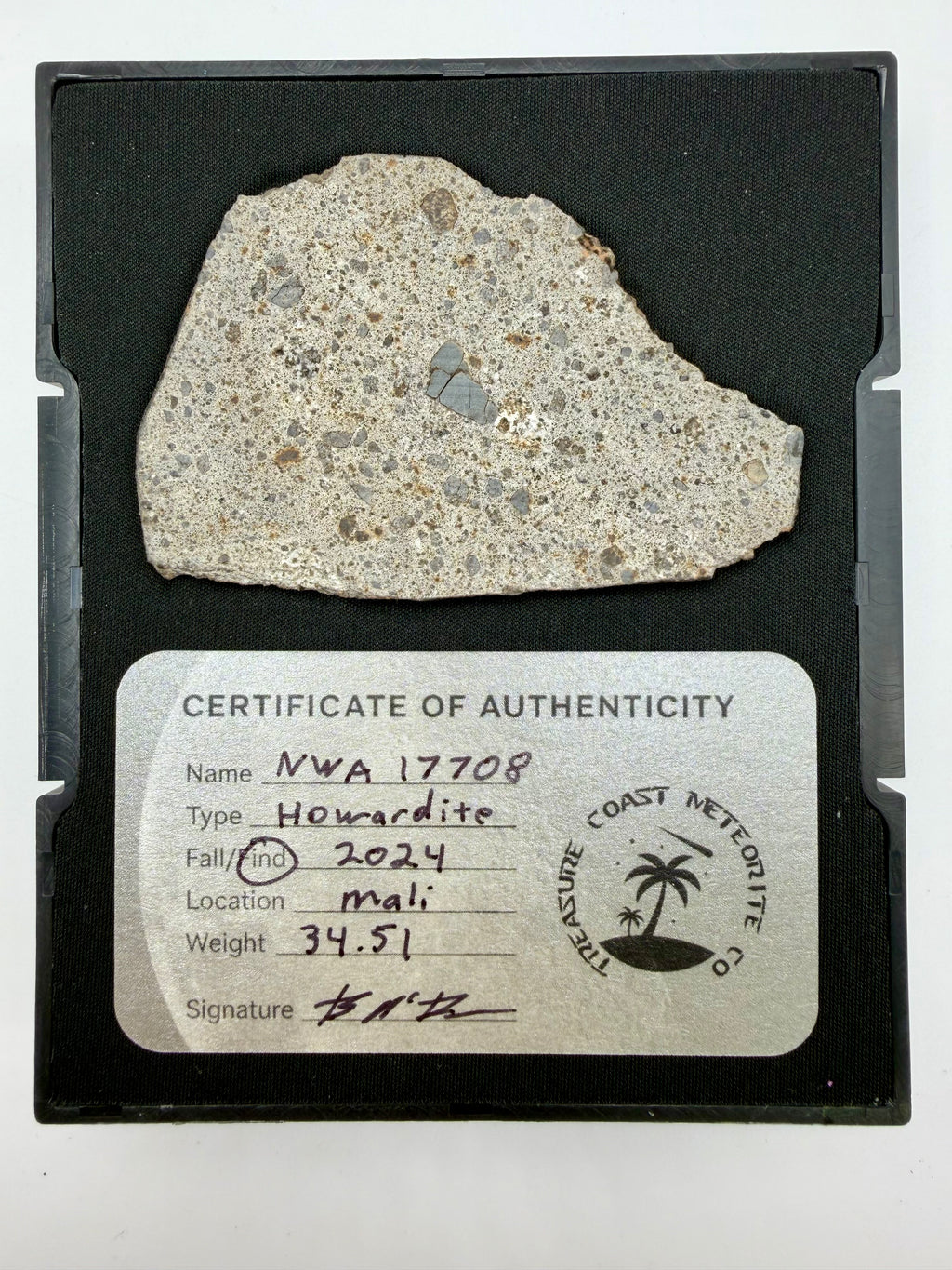 NWA 17708 howardite meteorite slice 34.51g with fusion crust -- HED achondrite from asteroid 4 Vesta, Treasure Coast Meteorit