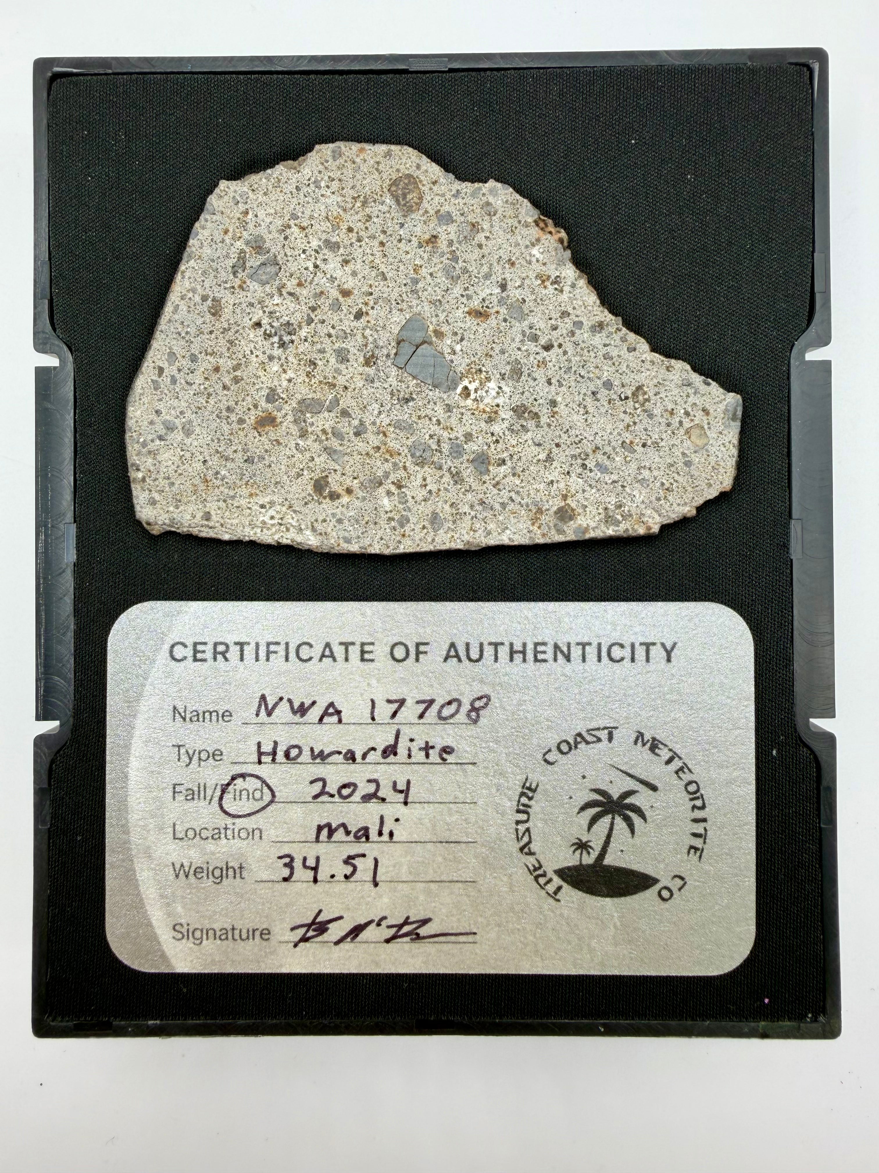 Howardite Meteorite - NWA 17708 from Vesta, Rare Achondrite 34.51g