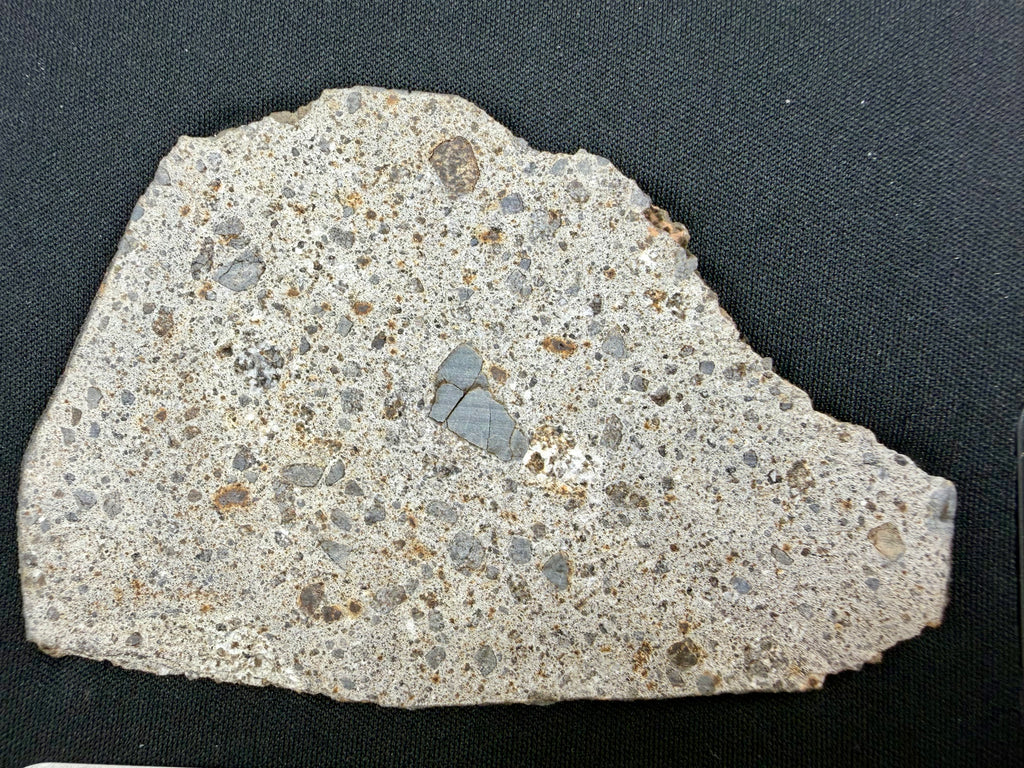 NWA 17708 howardite 34.51g -- rippled fusion crust texture along edge showing atmospheric heating effects