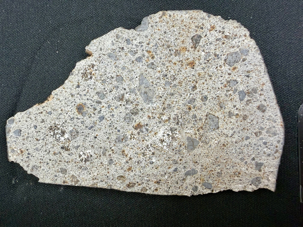 NWA 17708 howardite 34.51g -- brecciated interior with eucritic and diogenitic clasts in impact matrix