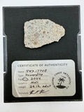 NWA 17708 howardite end cut 29.12g -- HED achondrite from asteroid 4 Vesta with fusion crust, Treasure Coast Meteorite Co.