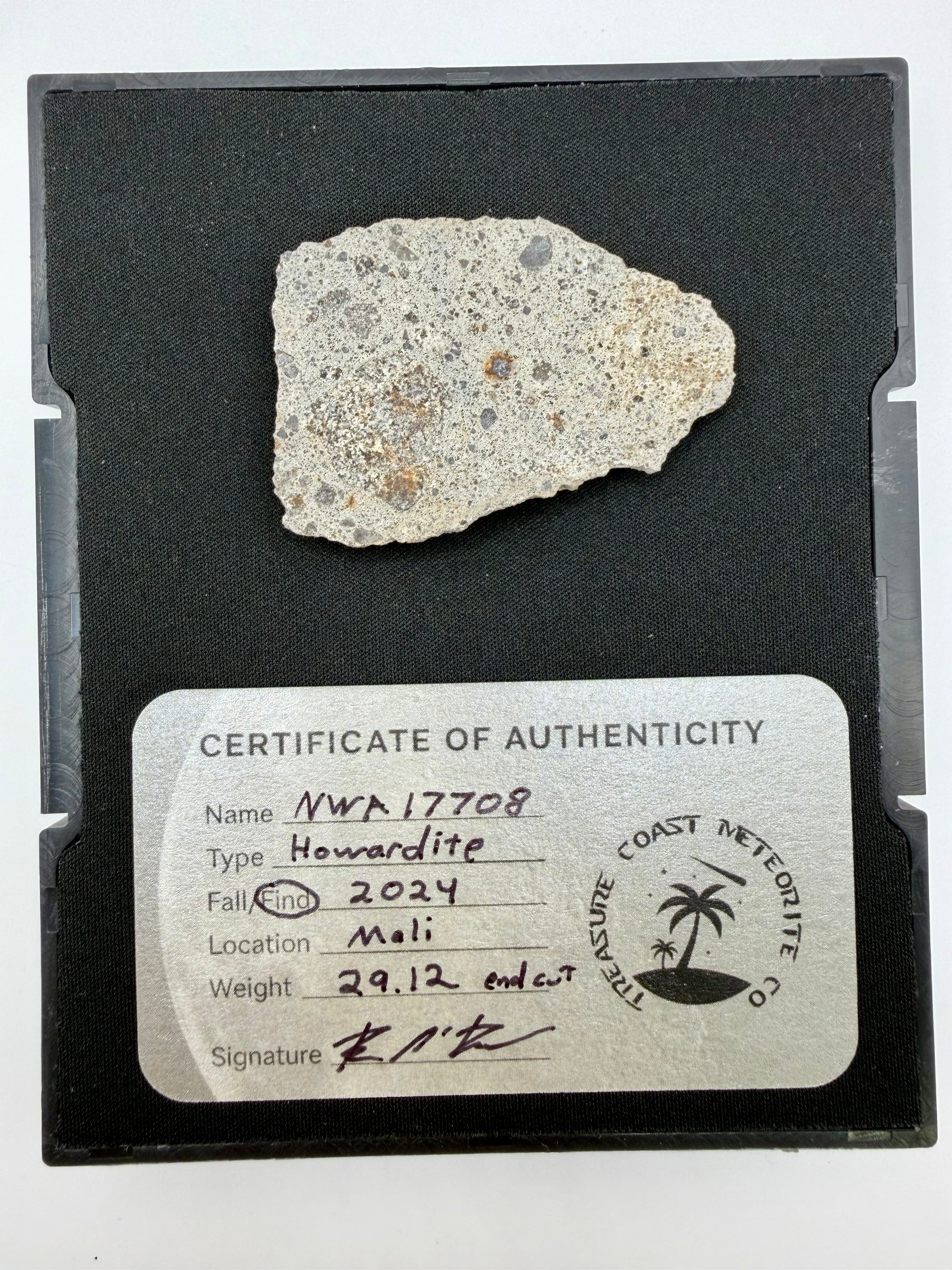 Howardite Meteorite - NWA 17708 from Vesta, Rare Achondrite 29.12g End Cut