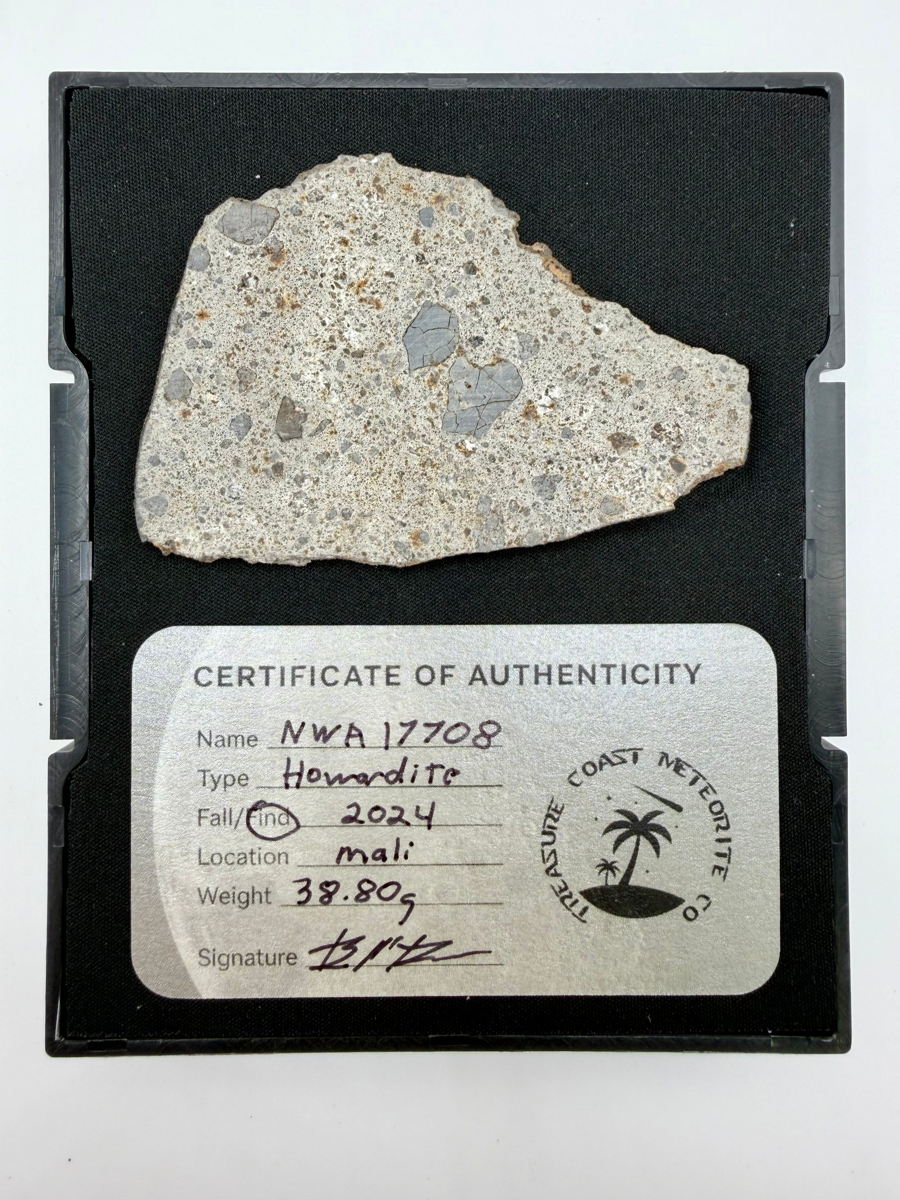 Howardite Meteorite - NWA 17708 from Vesta, Rare Achondrite 38.80g
