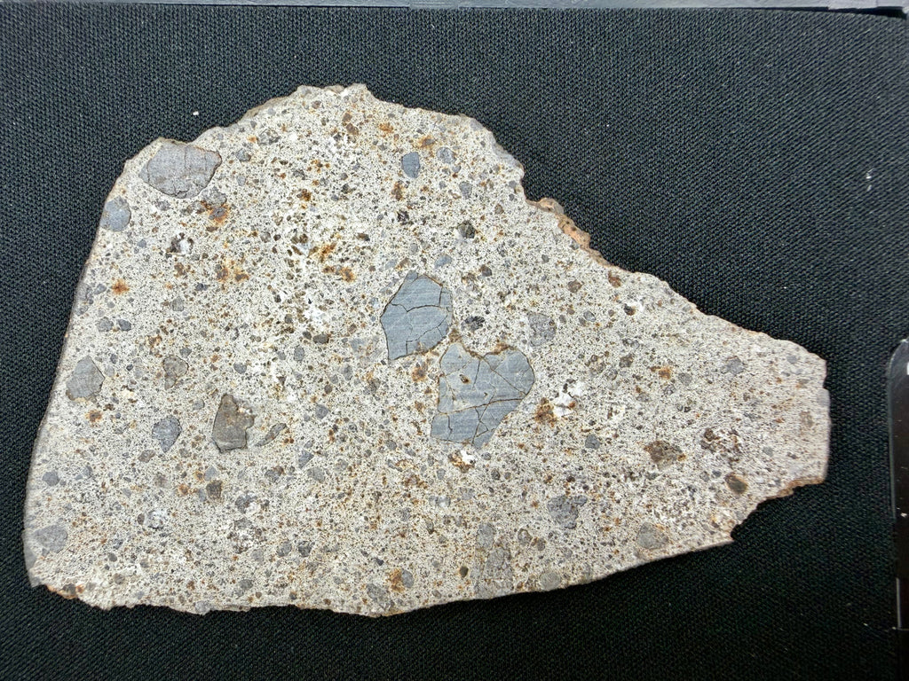 NWA 17708 howardite 38.80g -- fresh rippling fusion crust preserved across meteorite edge surface