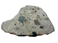 NWA 17708 howardite meteorite end cut 350.42g, sanded face -- HED achondrite from asteroid 4 Vesta, Treasure Coast Meteorite 