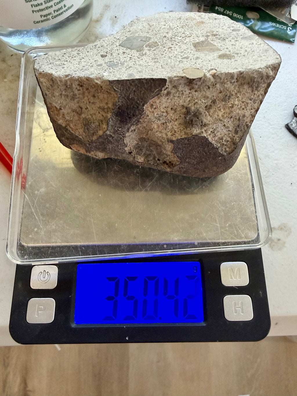 NWA 17708 howardite end cut 350.42g -- profile view showing fusion crust thickness variation and interior structure