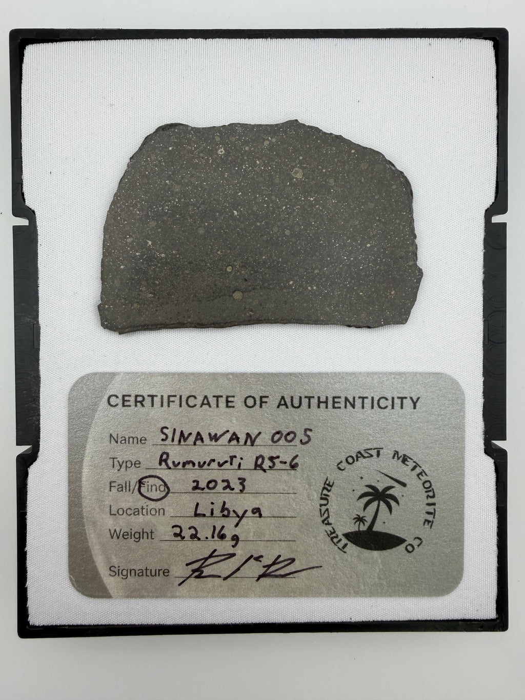 Sinawan 005 R5-6 meteorite slice 22.16g -- Rumuruti chondrite with dual lithology zones, Treasure Coast Meteorite Co.
