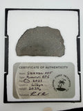Sinawan 005 R5-6 rumuruti meteorite slice 20.29g -- rare R-chondrite with dual lithology zones, Treasure Coast Meteorite Co.