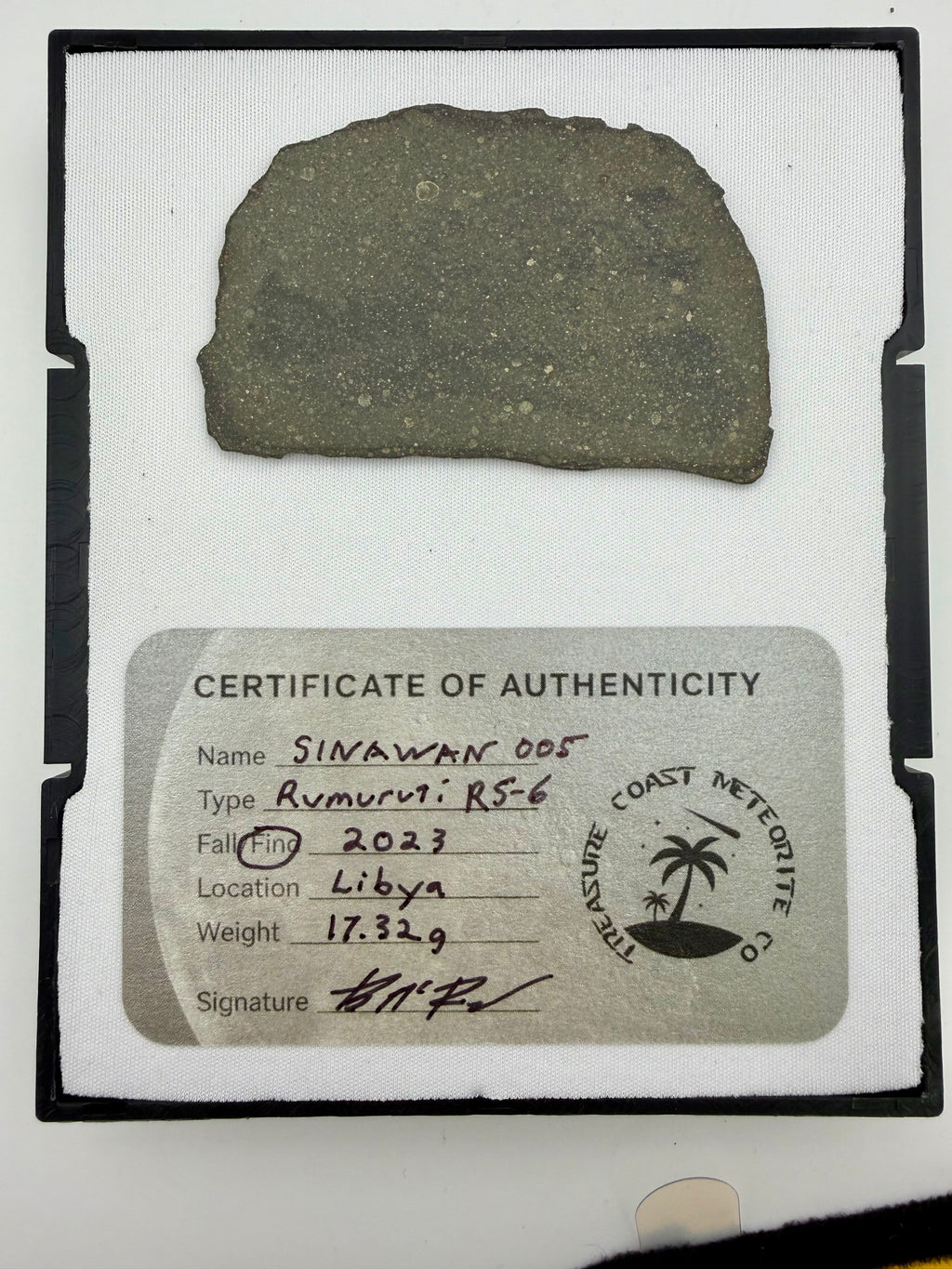 Sinawan 005 Rumuruti R5-6 chondrite meteorite slice 17.32g -- rare R-chondrite with dual lithology zones, Treasure Coast Mete