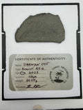 Sinawan 005 R5-6 chondrite meteorite slice 24.45g -- Rumuruti with dual lithology contact zones, Treasure Coast Meteorite Co.