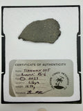 Sinawan 005 R5-6 rumuruti meteorite individual 14.49g, dual lithology zones -- rare R-chondrite from Libya, Treasure Coast Me