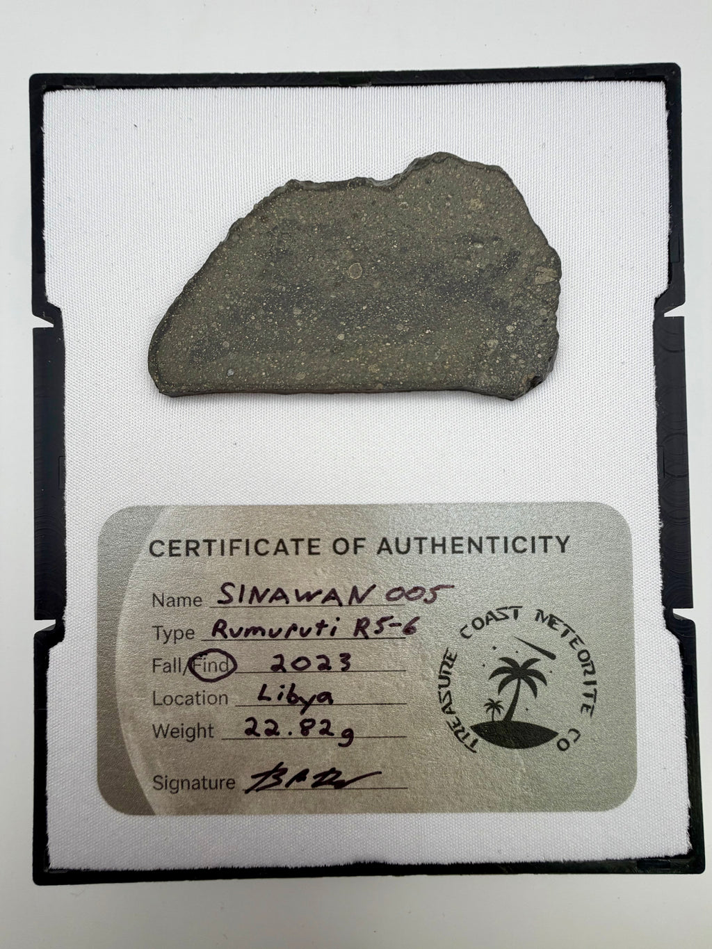 Sinawan 005 Rumuruti R5-6 meteorite slice 22.82g -- rare R-chondrite with dual lithology zones, Treasure Coast Meteorite Co.