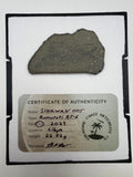 Sinawan 005 Rumuruti R5-6 meteorite slice 22.82g -- rare R-chondrite with dual lithology zones, Treasure Coast Meteorite Co.