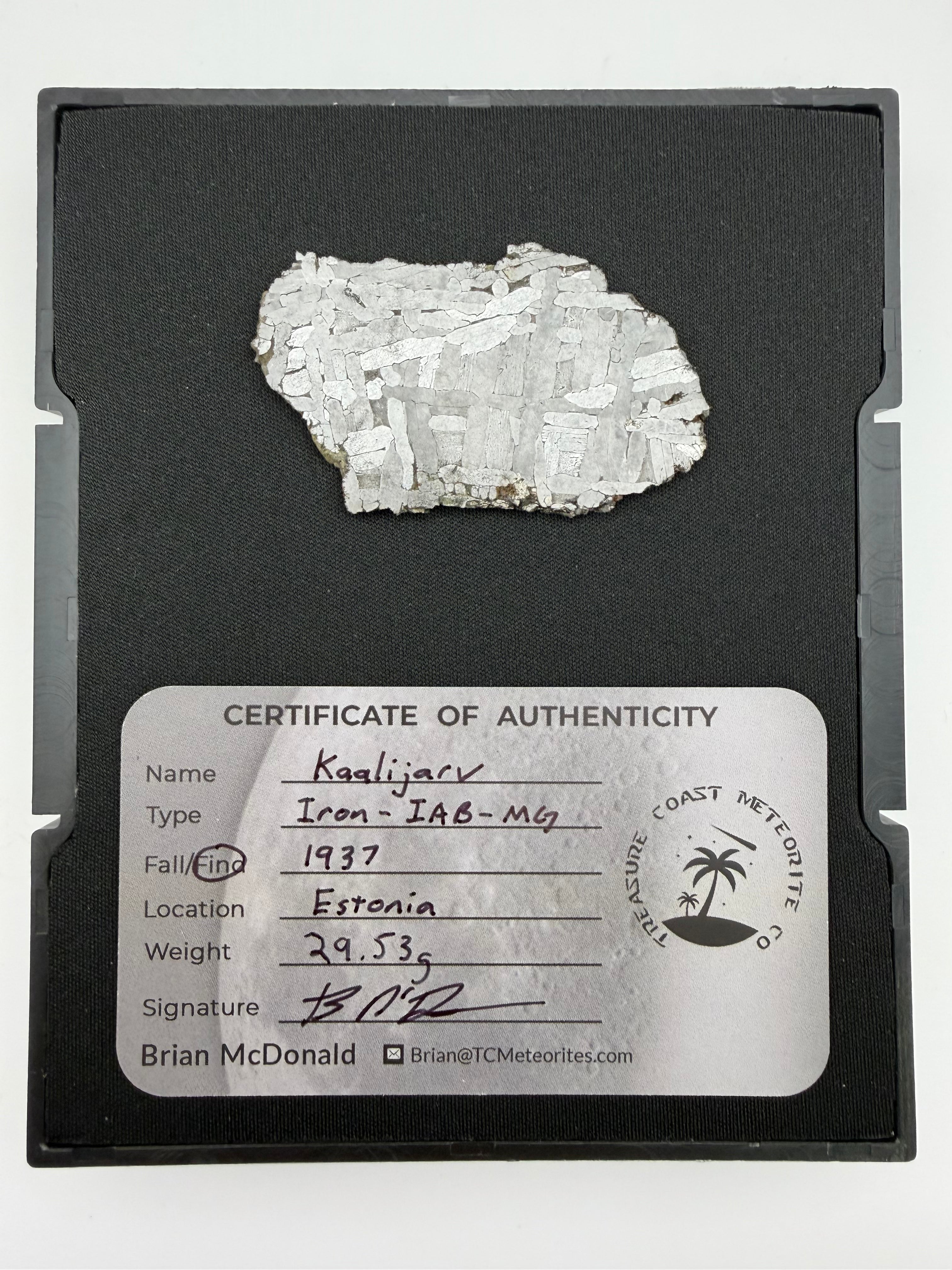 Kaalijarv Iron Meteorite Full Slice IAB-MG Etched w/ COA & Gembox Display Case, 29.53g