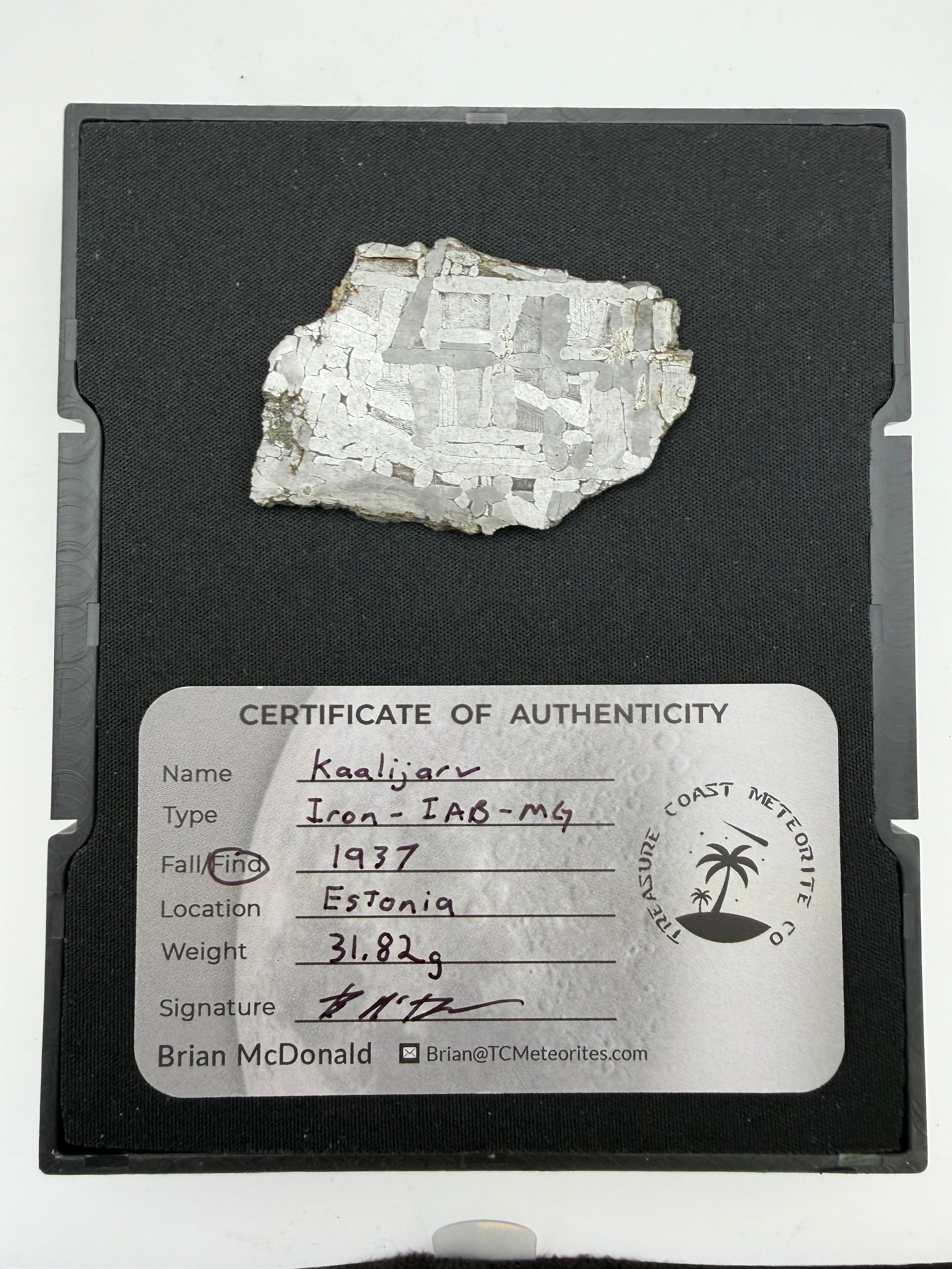 Kaalijarv Iron Meteorite Full Slice IAB-MG Etched w/ COA & Gembox Display Case, 31.82g