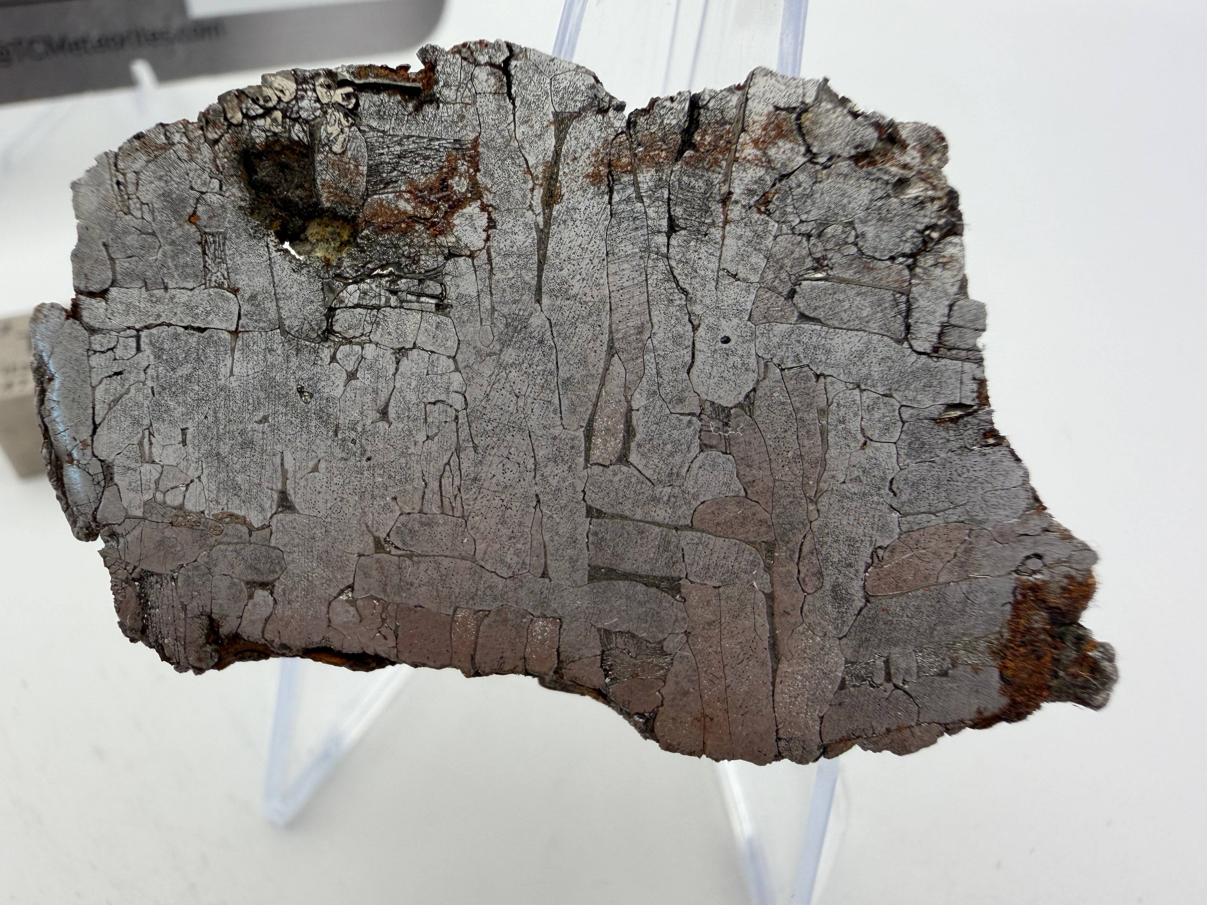 Kaalijarv Iron Meteorite End Cut IAB-MG Etched w/ COA, 57.29g