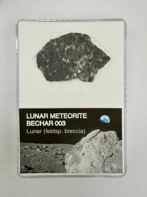 Bechar 003 lunar feldspathic breccia meteorite slice 3.30g, complete full slice -- Moon rock from highlands crust, Treasure C